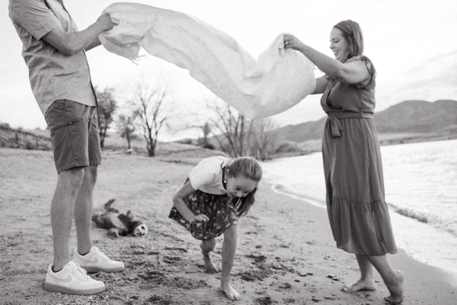 Family photo session at Chatfield State Park, parents tossing blanket in air, children running underneath, dog rolling in sand in background