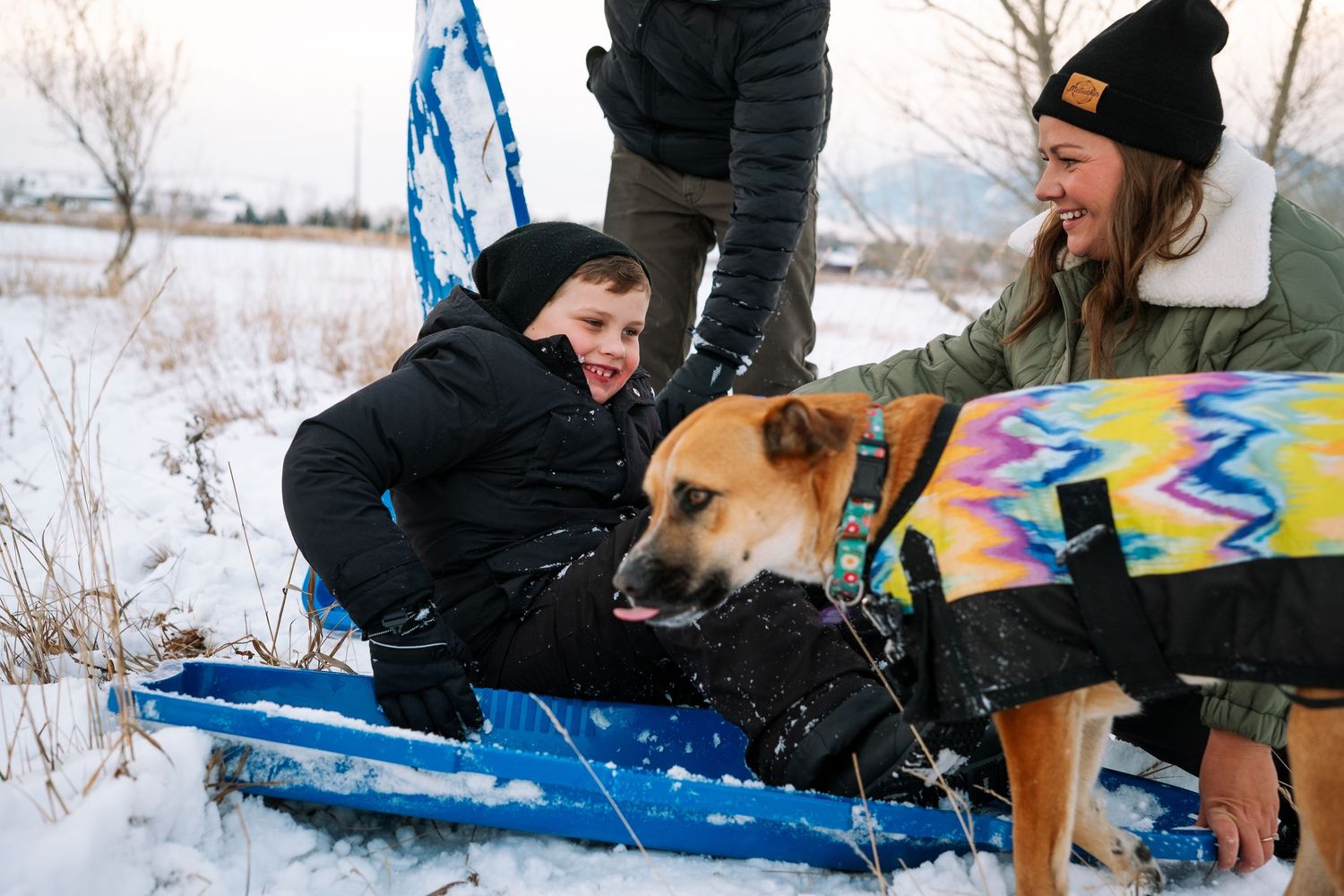 Mother and son preparing to sled down hill, dog  wearing snow coat standing in foreground.