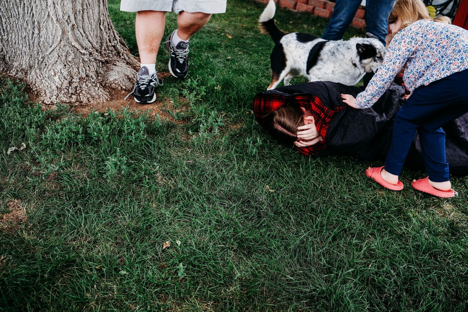 In-home Denver family photography session,  sister rolled up in blanket, dog playfully chasing.