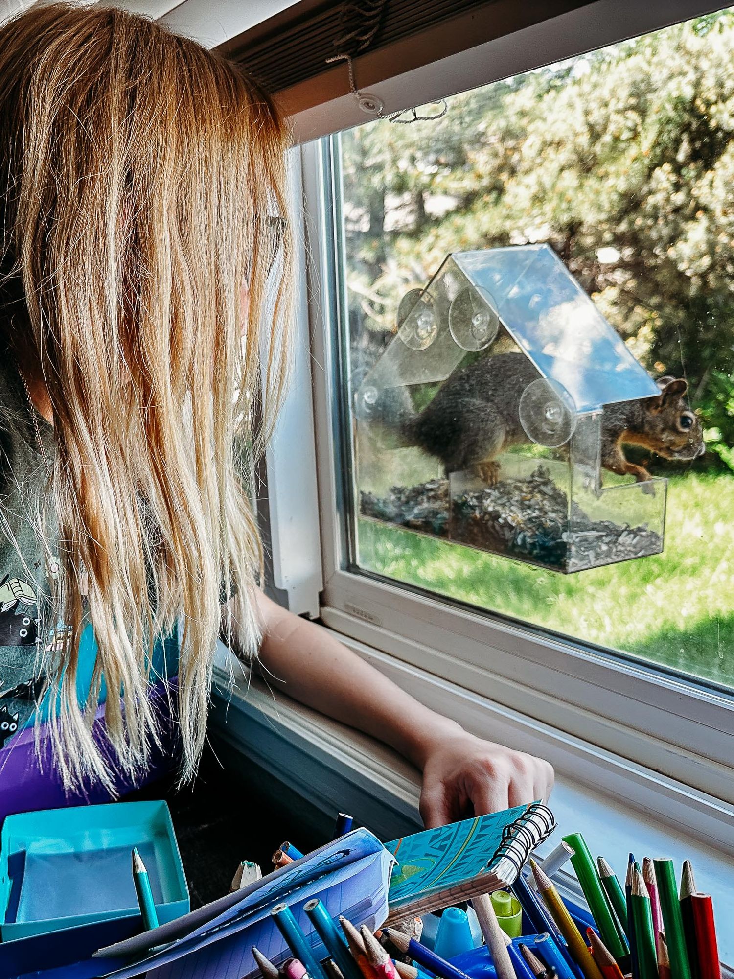 Girl inside window looking at bird feeder afifxed to outside of window, squirrel eating birdseed.