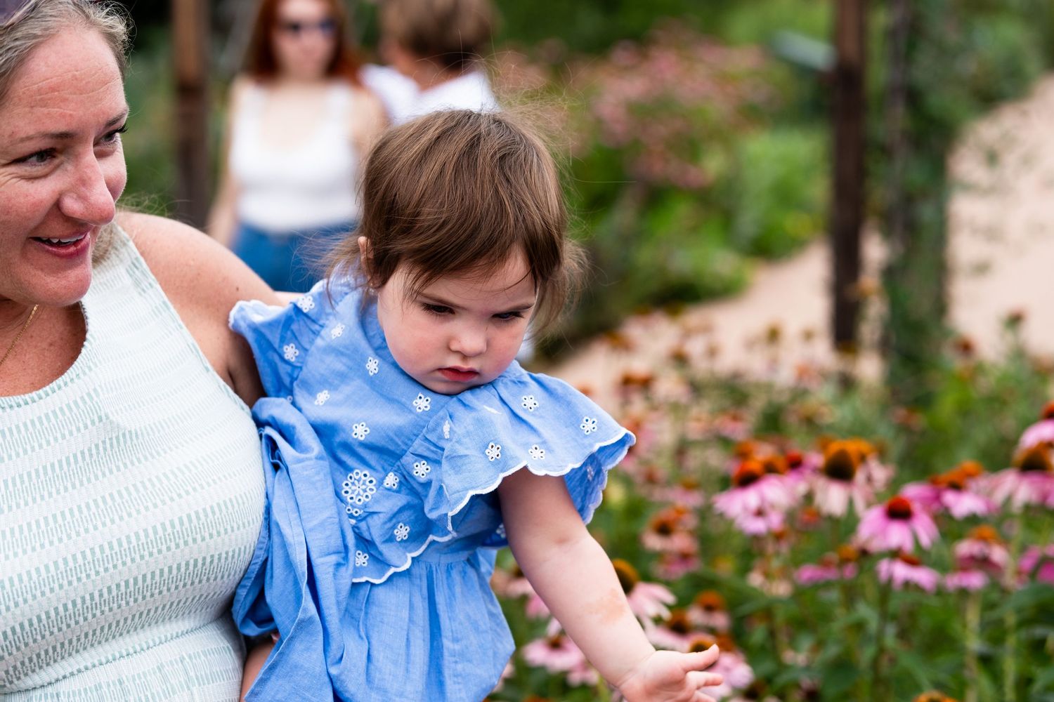 Woman holding toddler r\girl, reaching out to touch coneflowers.