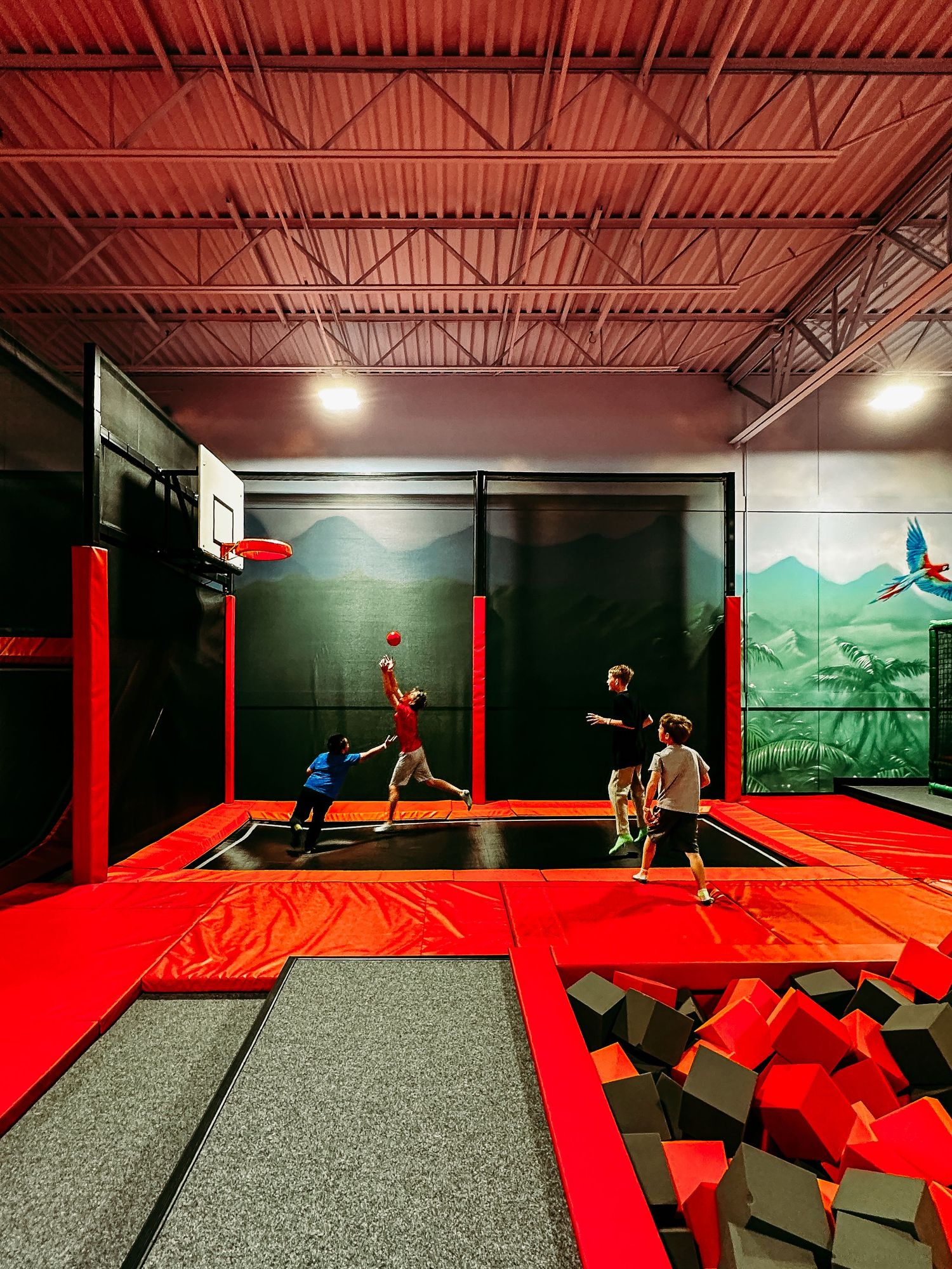 Children playing basketball at trampoline park.