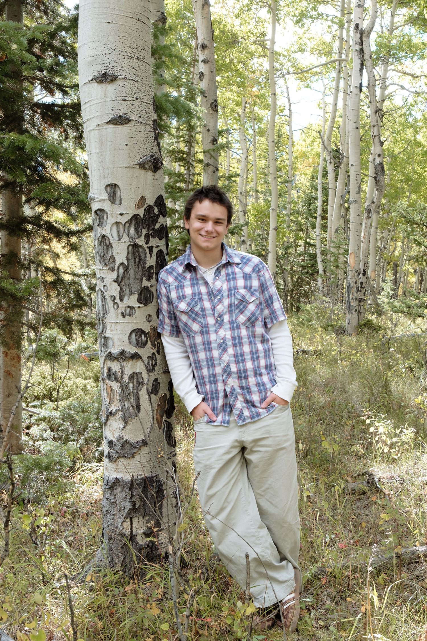 Senior portrait of teen boy leaning against an aspen tree, hands in pockets, wearing plaid button down over white long sleeve shirt.