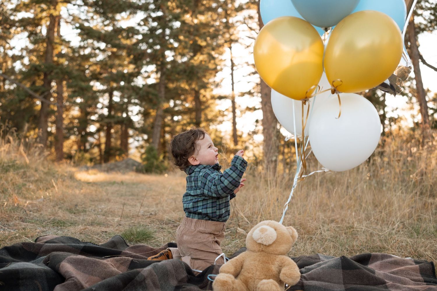 One year old milestone portraits of one year old boy with balloons in the forest area of Mt Falcon West.
