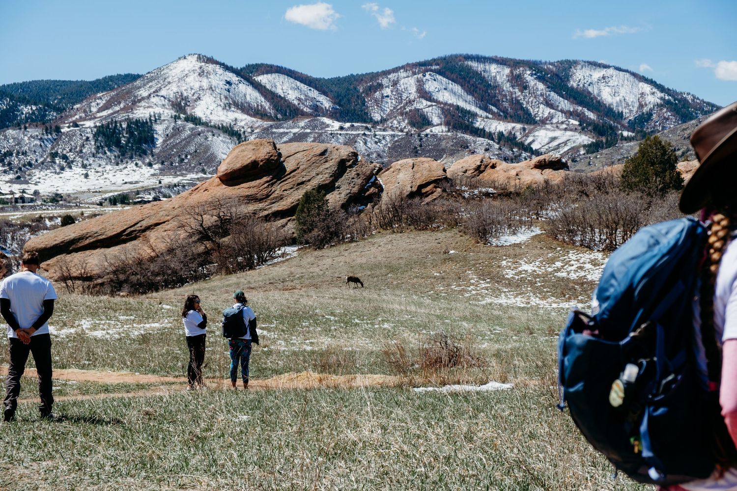 WILD hike, people looking out toward deer eating in meadow, red rocks and foothills in background.