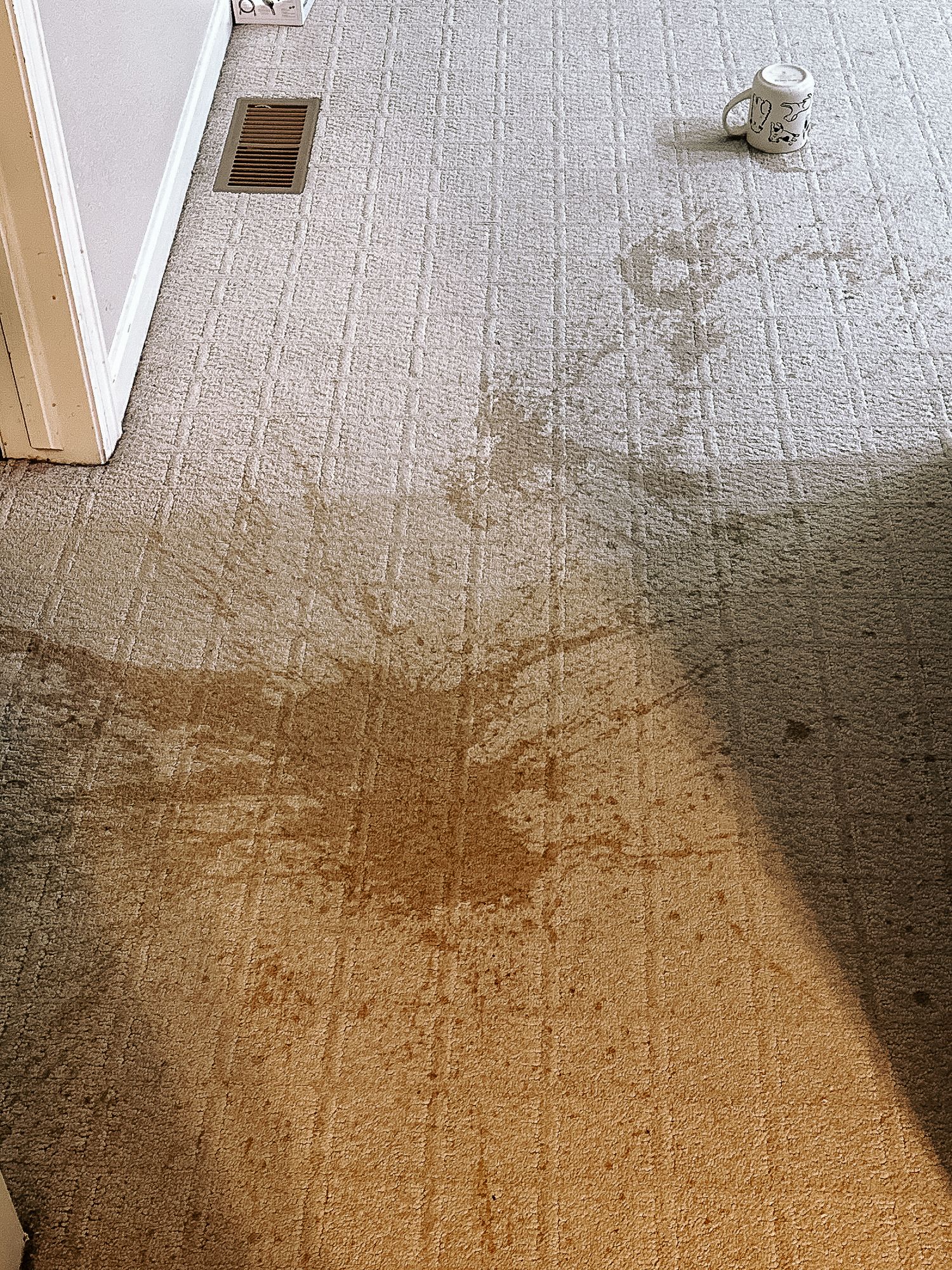 Project 365 photo - spilled coffee stain on carpet.
