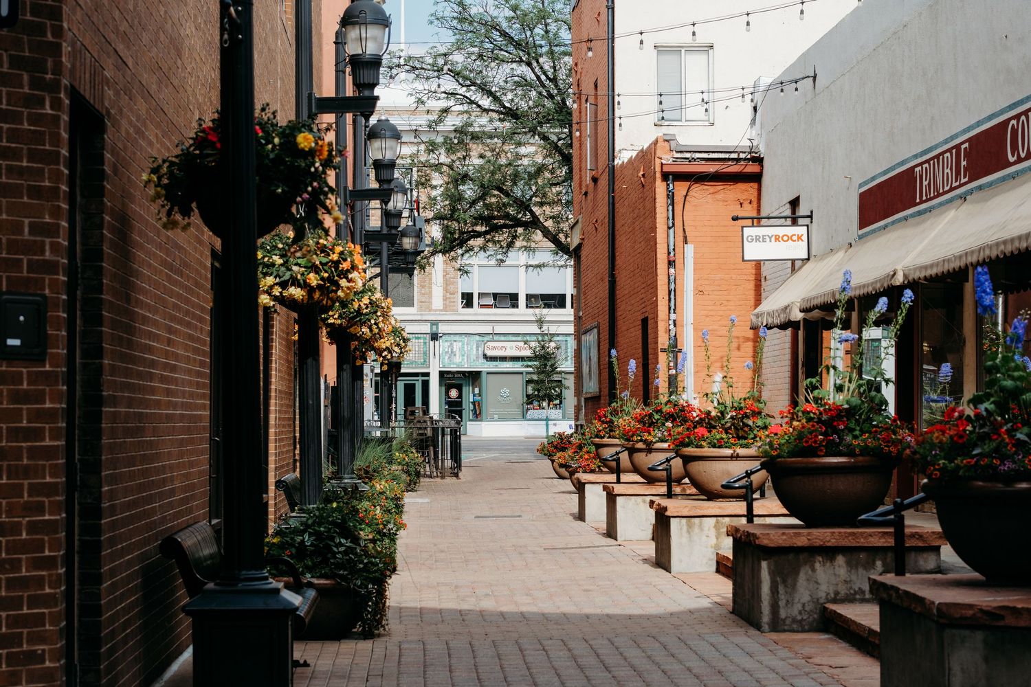 Empty alleyway in Downtown Fort Collins.