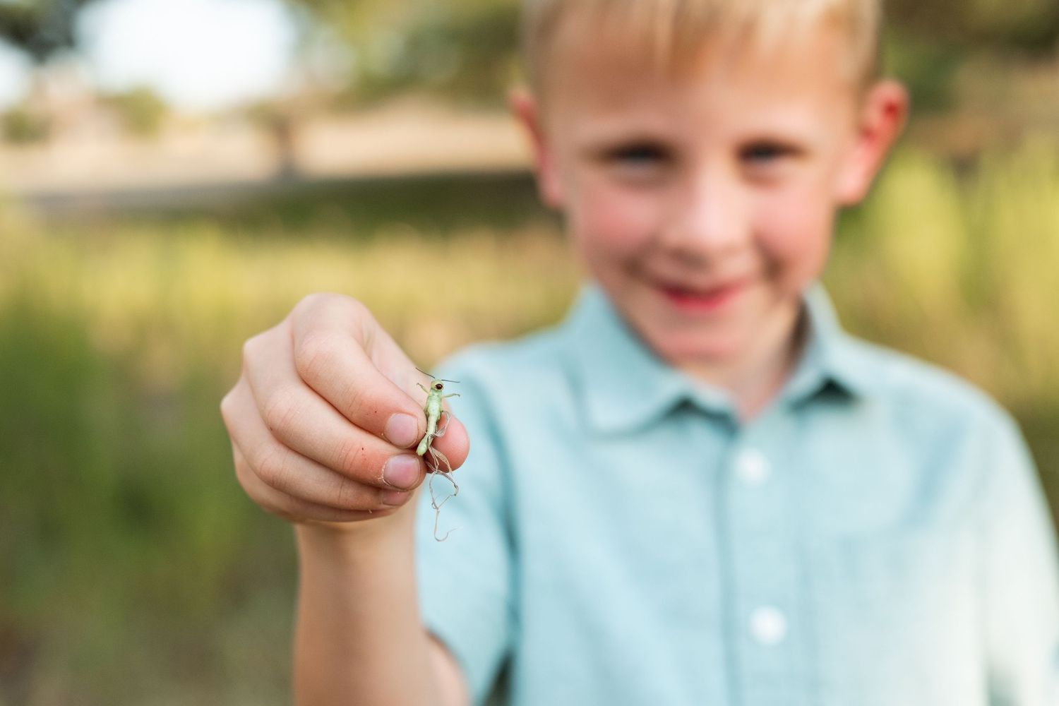 Close up of boy holding grasshopper in his hand on a summer day at a Denver park.