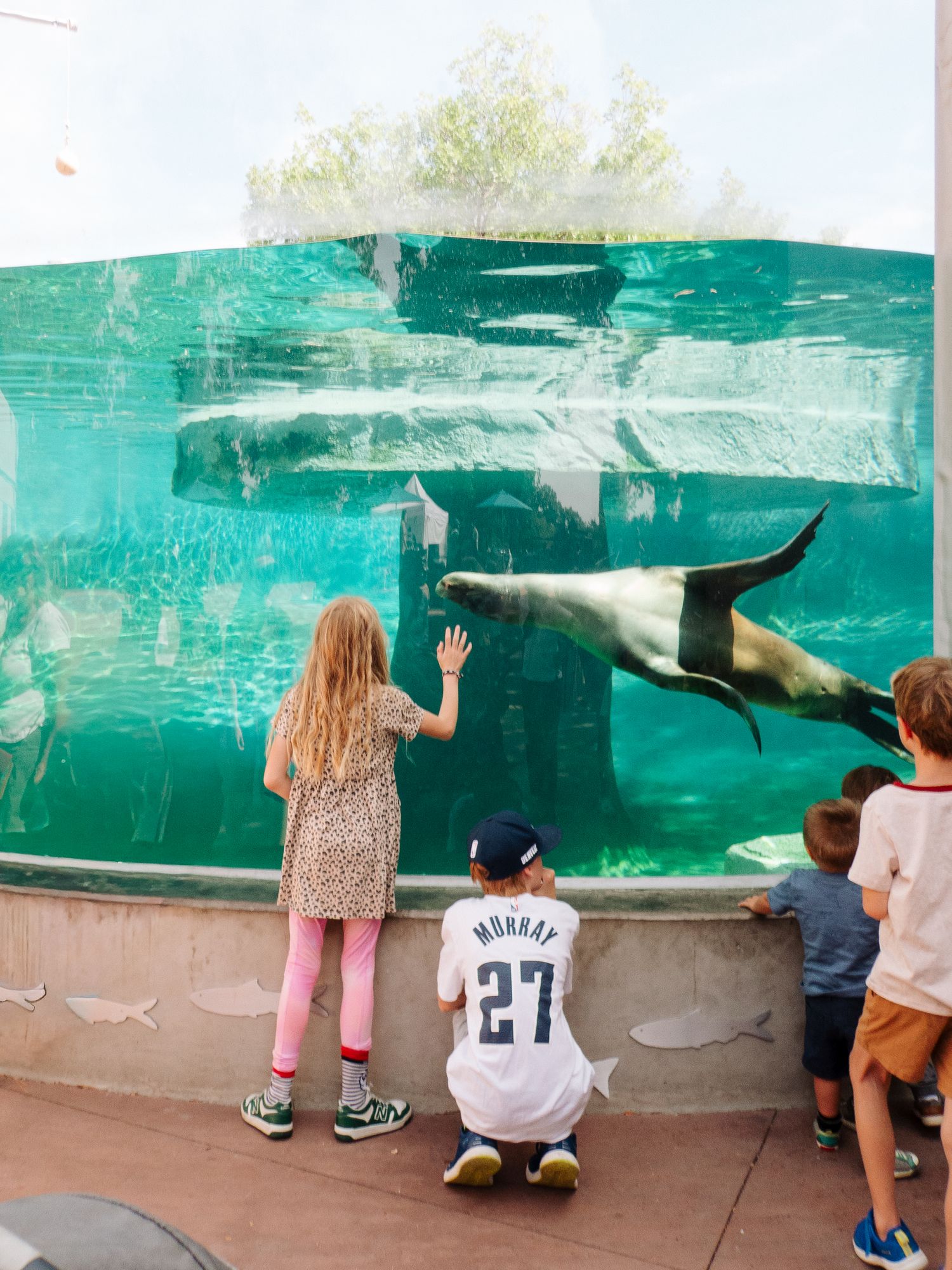 Project 365 photo - girl and boy at seal zoo exhibit as seal swims by.