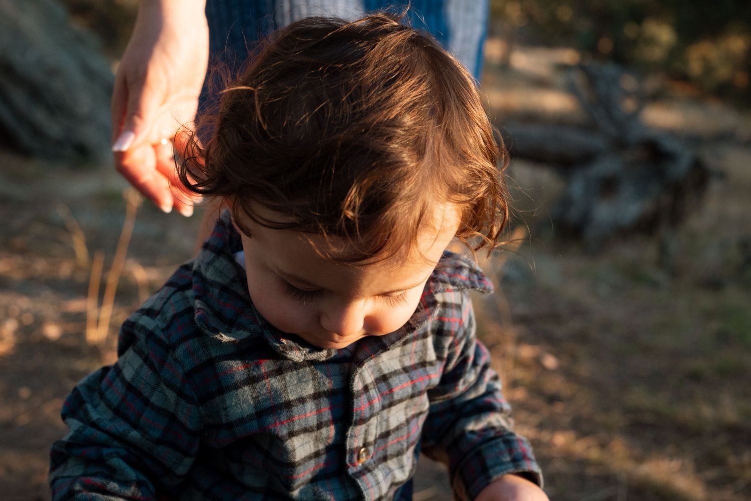 One year old boy looking down, sun shining on his face.