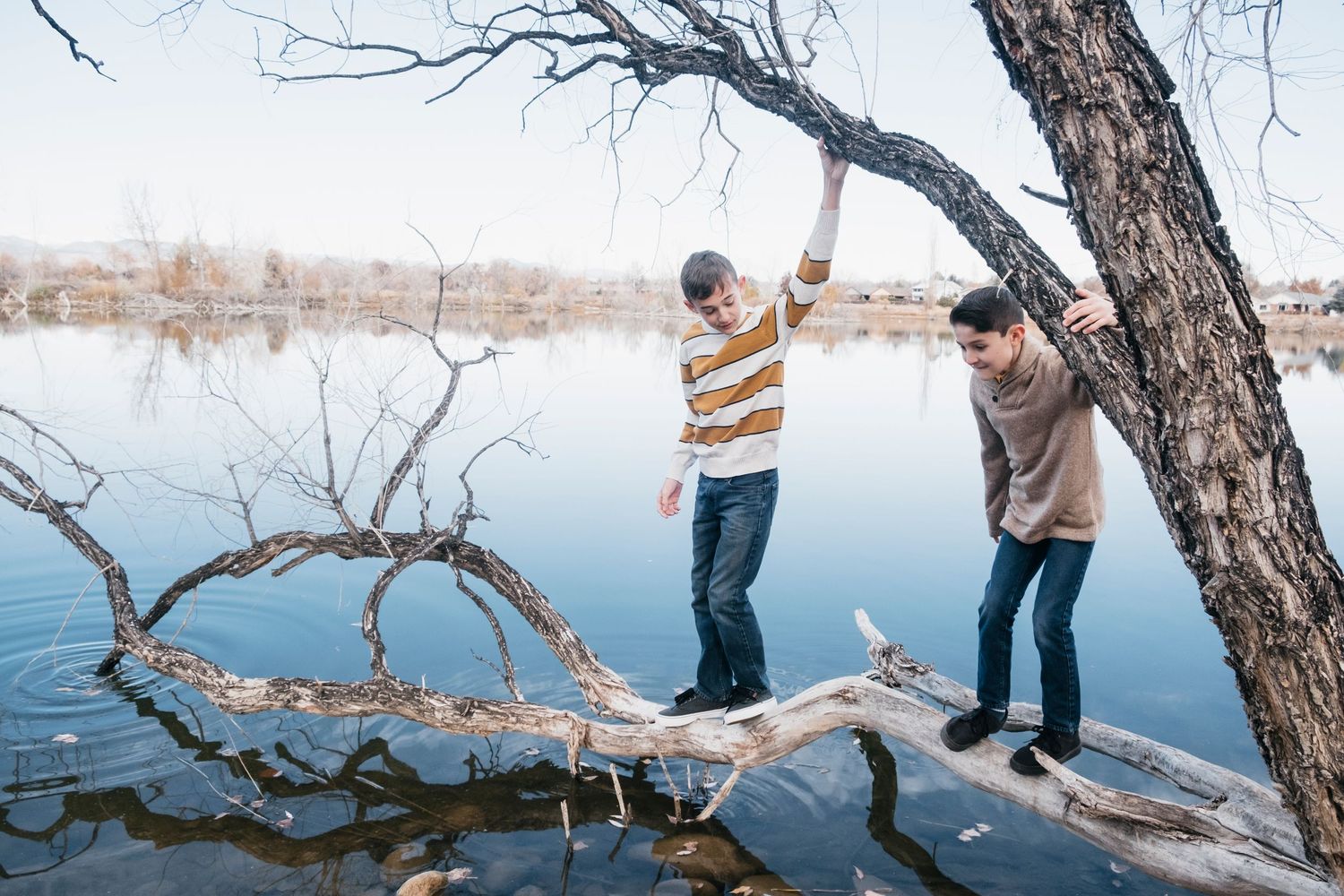 Brothers playing on tree limb over water at Golden Pond Parks.