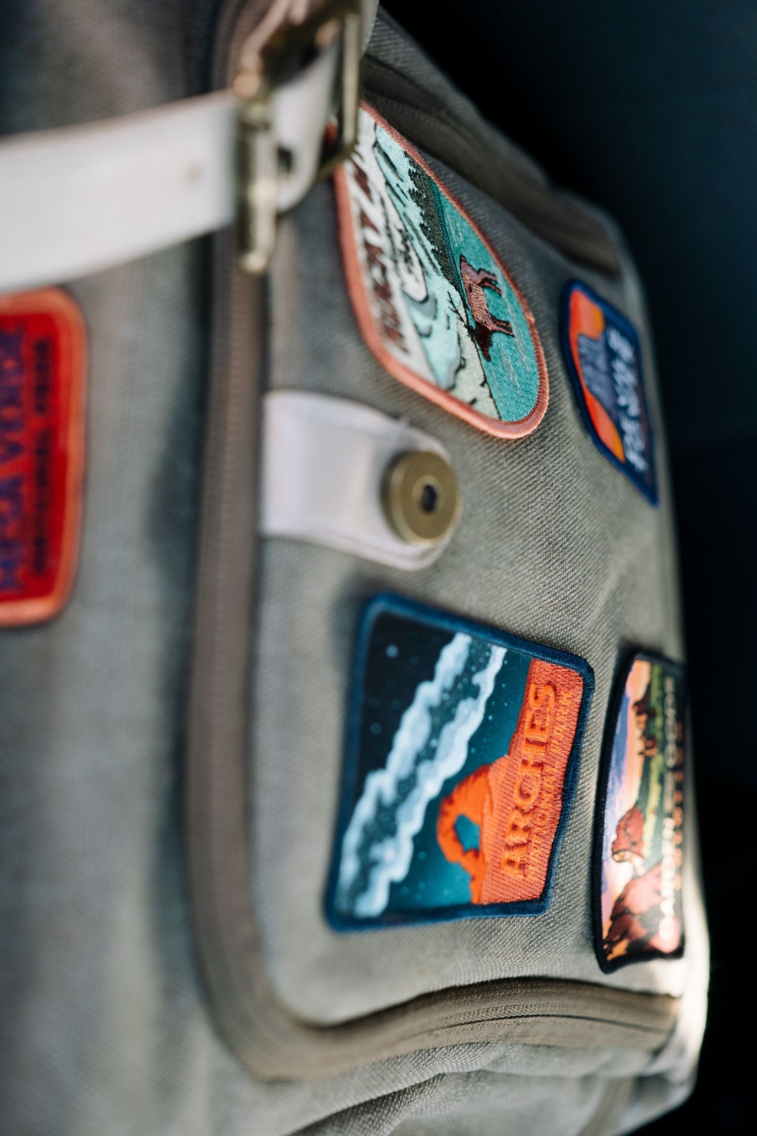 Project 365 - close up of camera bag decorated with national park patches.
