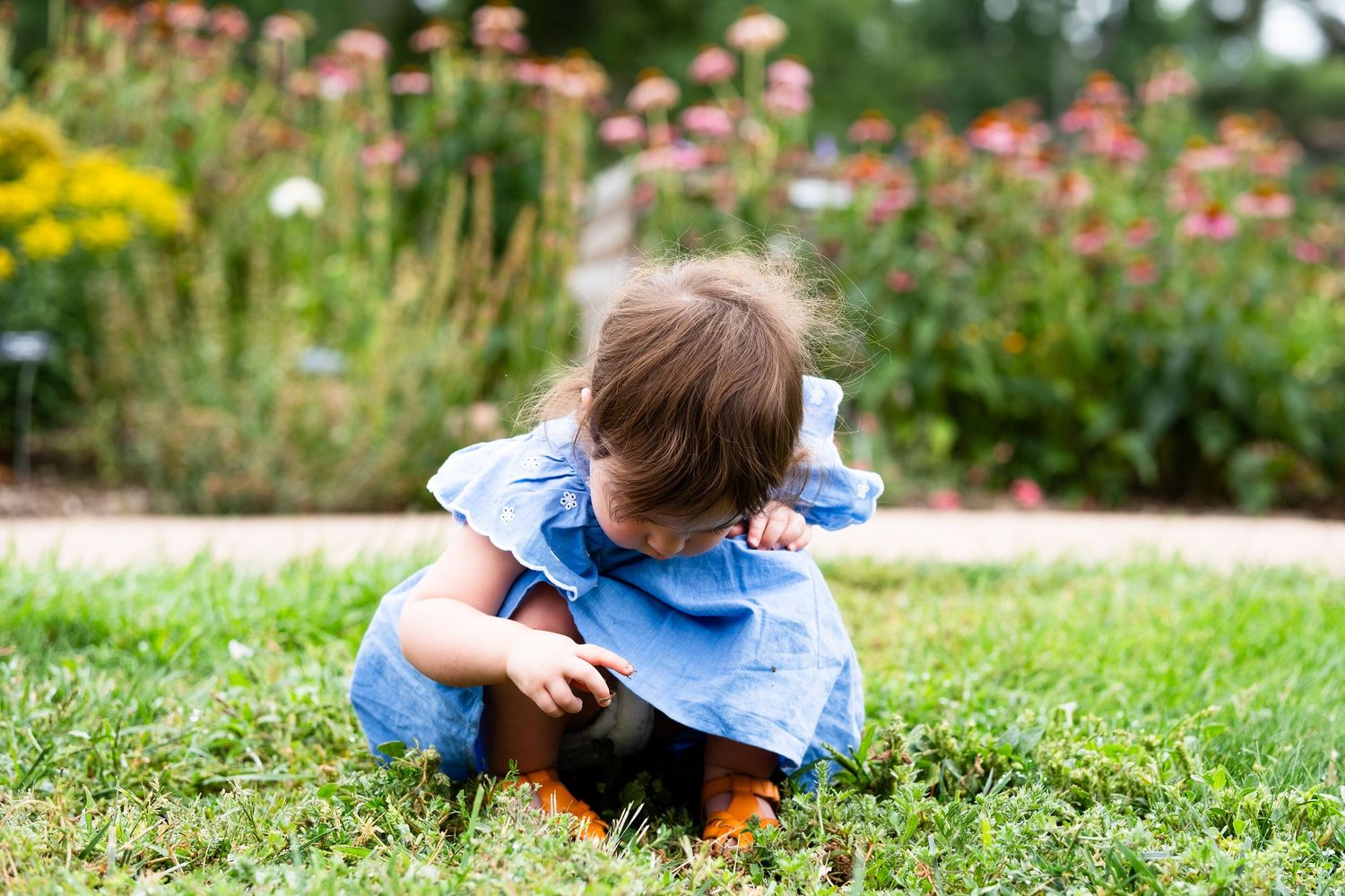 Young girl crouching ground, touching grass, tall colorful flowers in background.