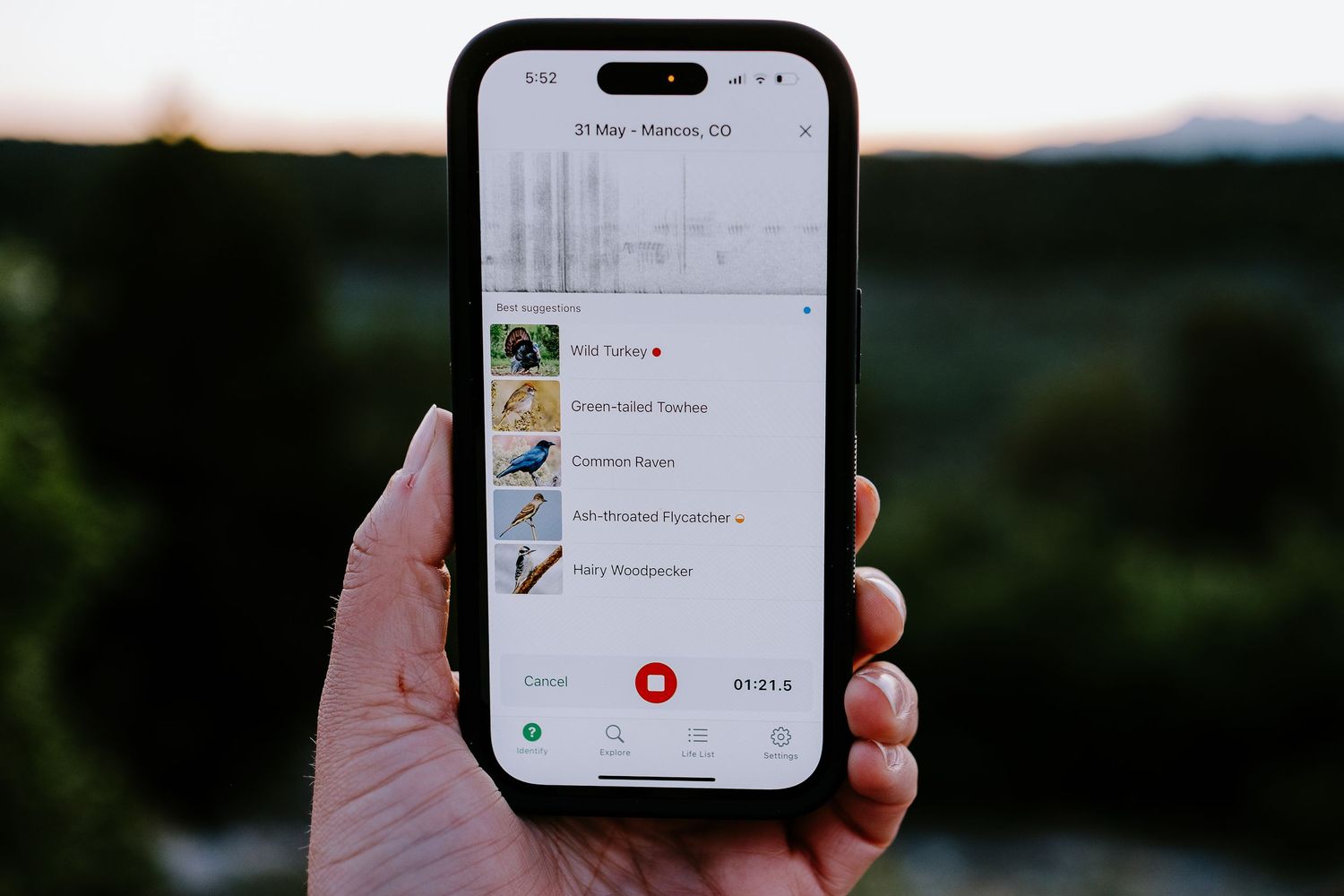 Denver photographer's project 365, May, cell phone displaying birds nearby on Merlin App.