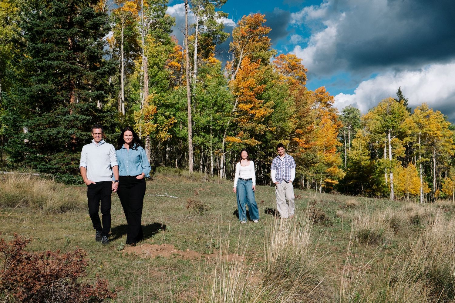 Dramatic full sun portrait of family of four, including two teenage children, walking in front of changing aspens near Pike national park.
