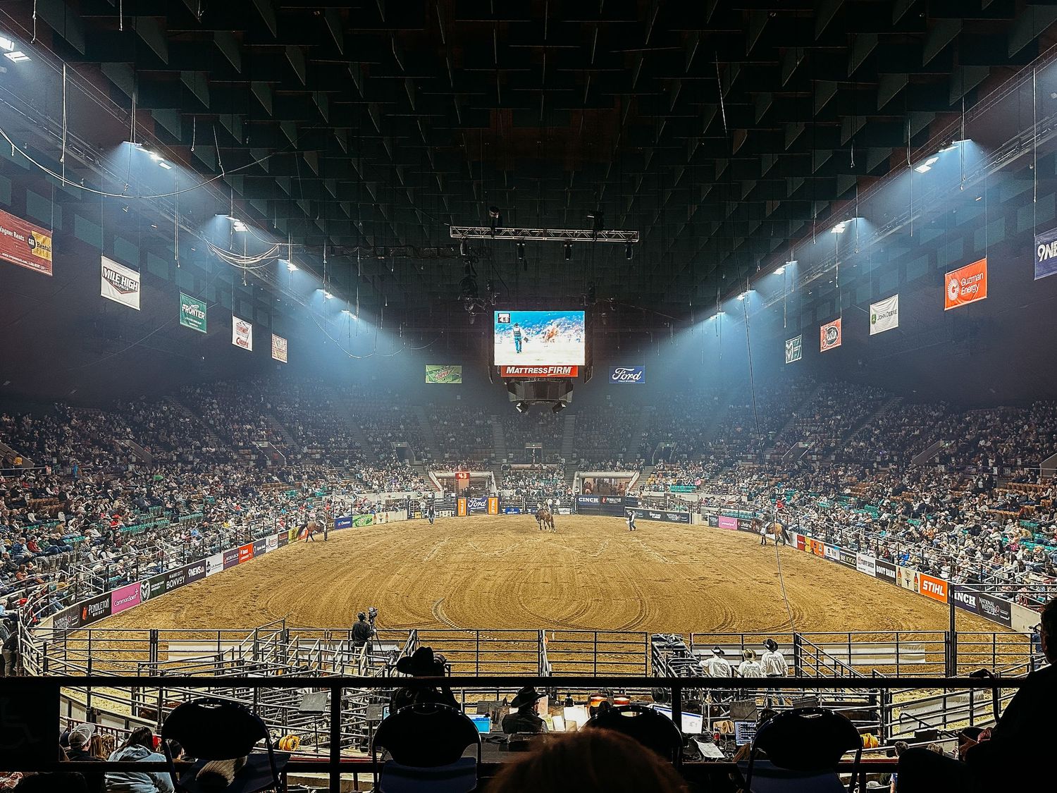 Denver photographer project 365 - Denver stock show