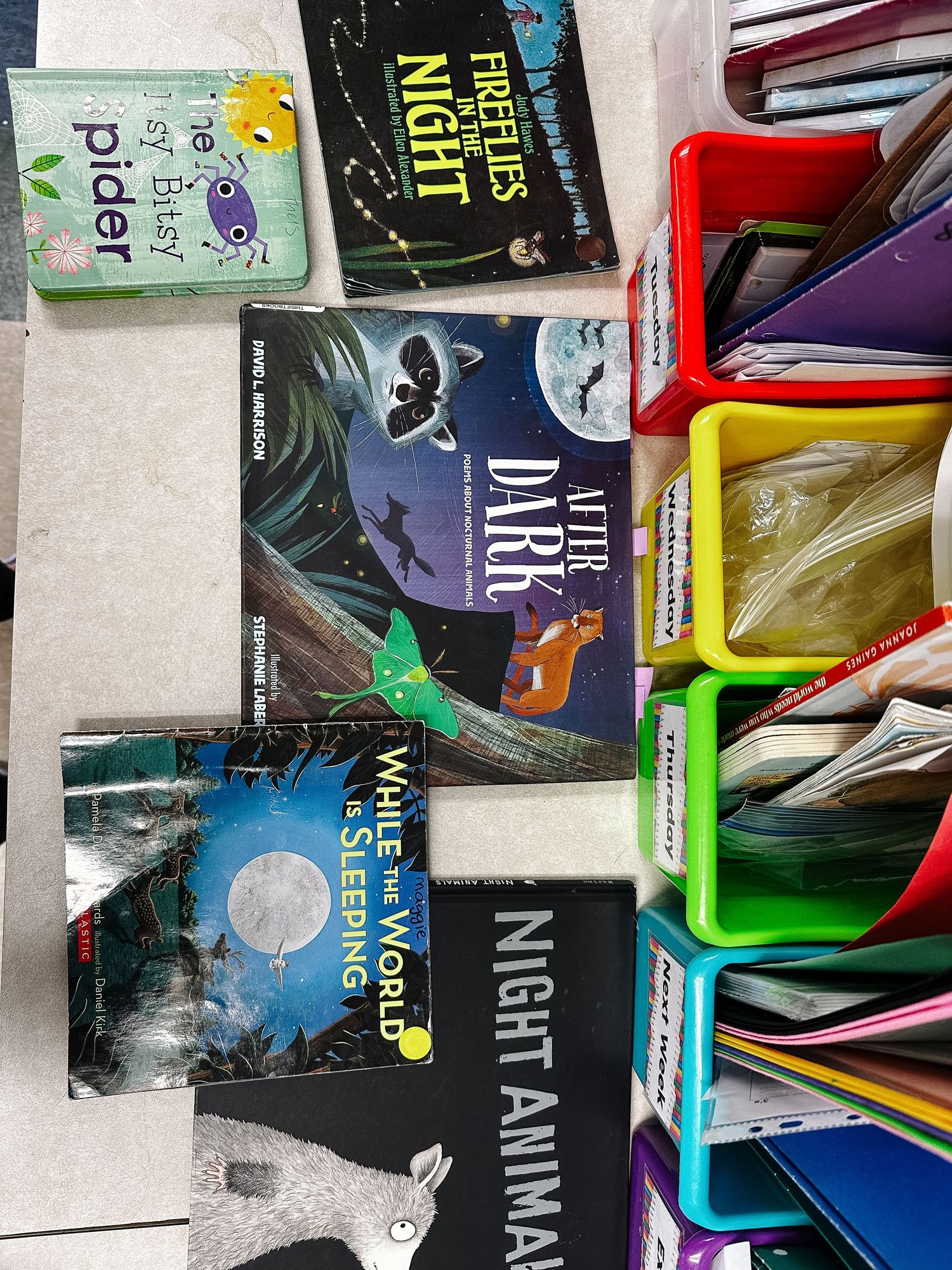 Project 365 - overhead view of Pre-K books.