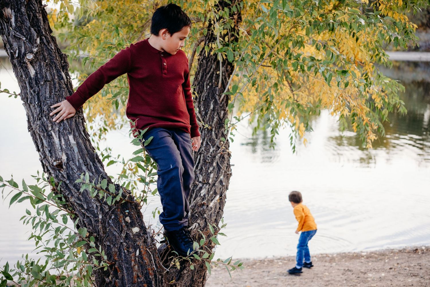 Older brother climbing a tree while younger brother throws rocks into the water in the background.