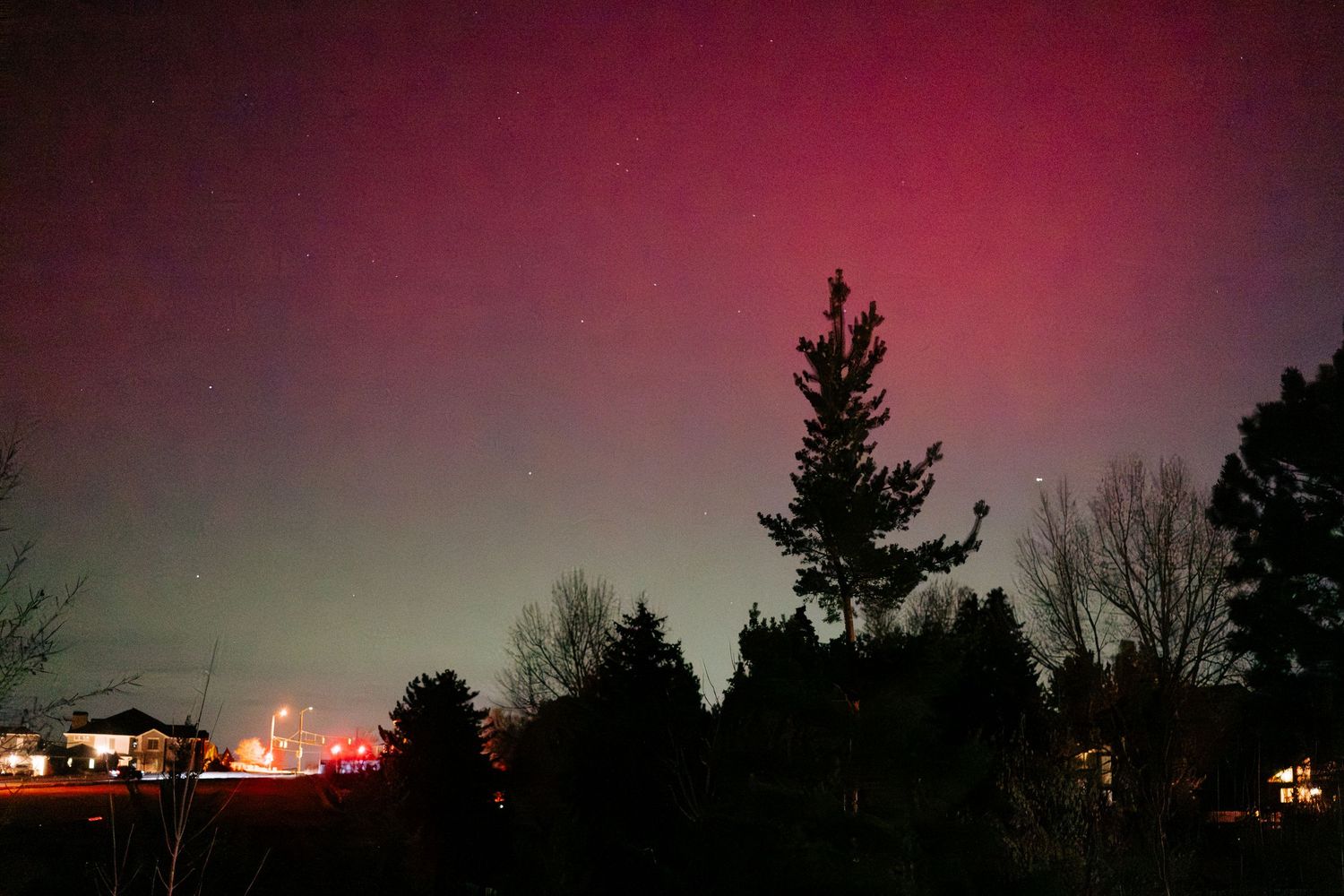 Project 365 - northern lights above evergreen tree.