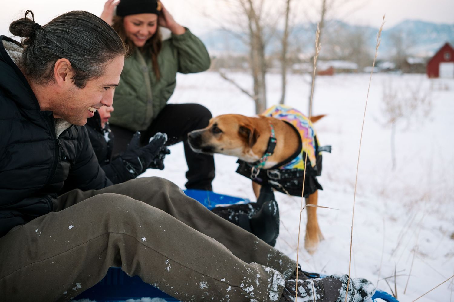 Father, mother, son and dog preparing to sled down a hill.