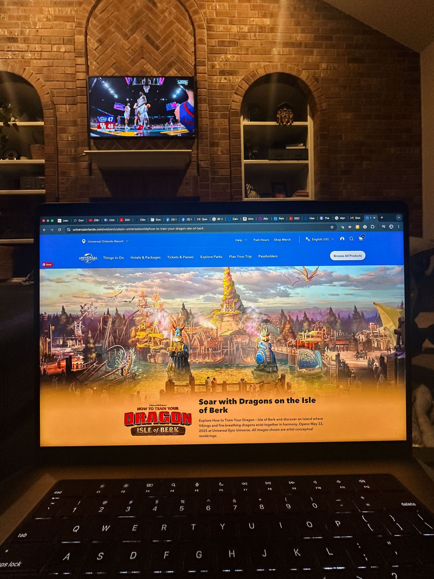 Computer screen on website about How to Train Your Dragon.