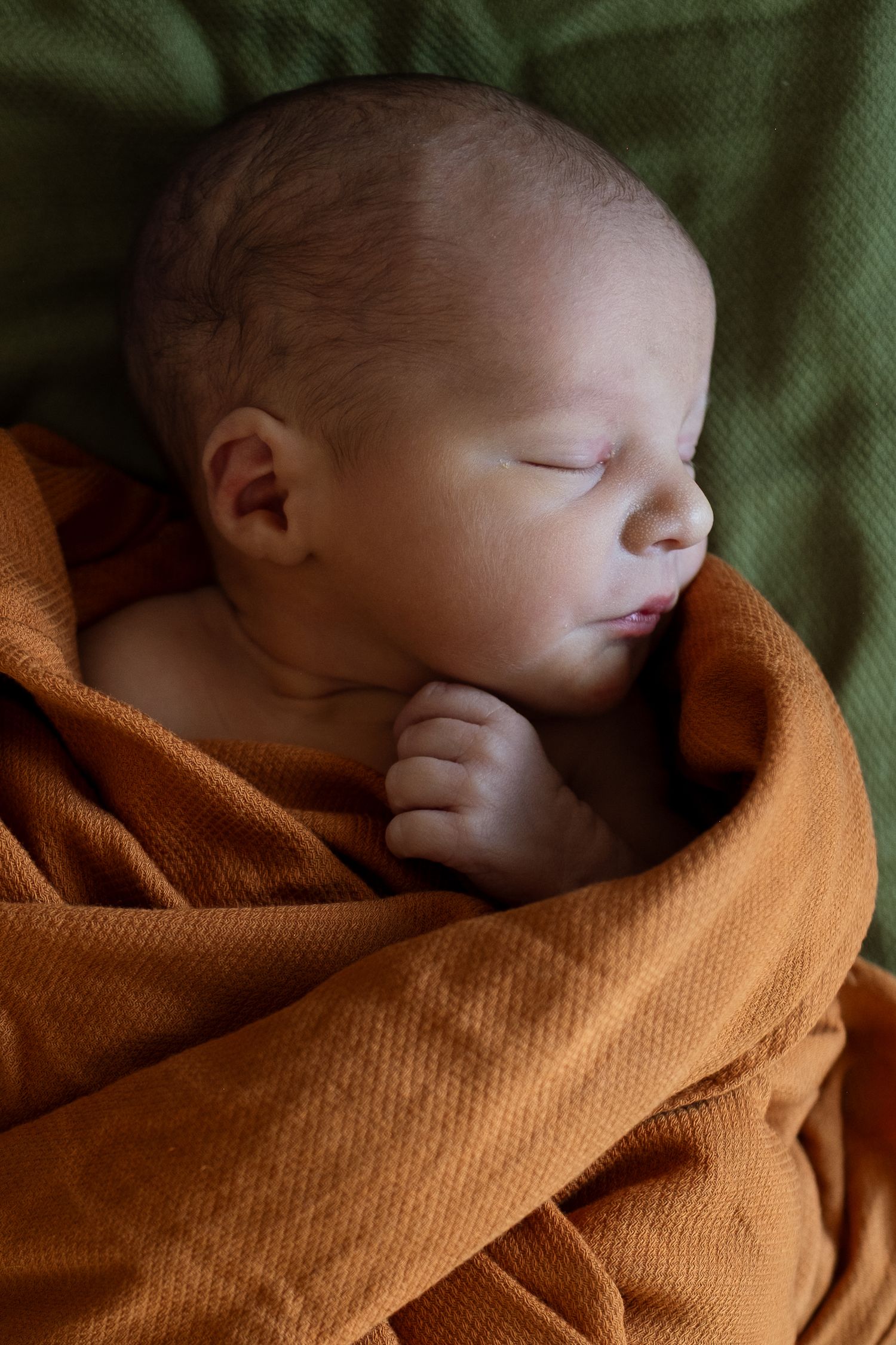 Profile of newborn boy, swaddled in stunning rusty orange swaddle.