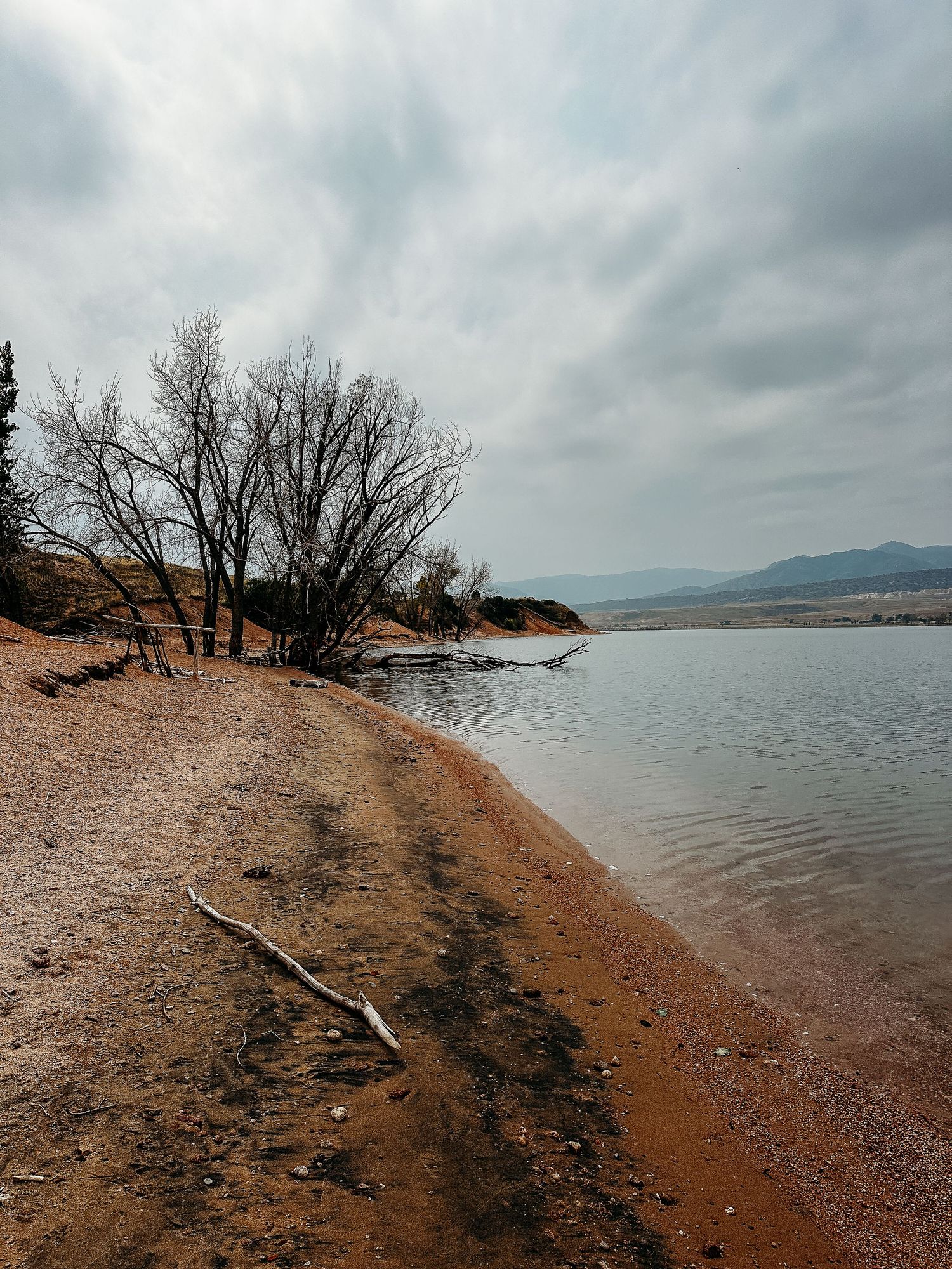 Project 365 photo - beach shoreline at lake in Colorado.