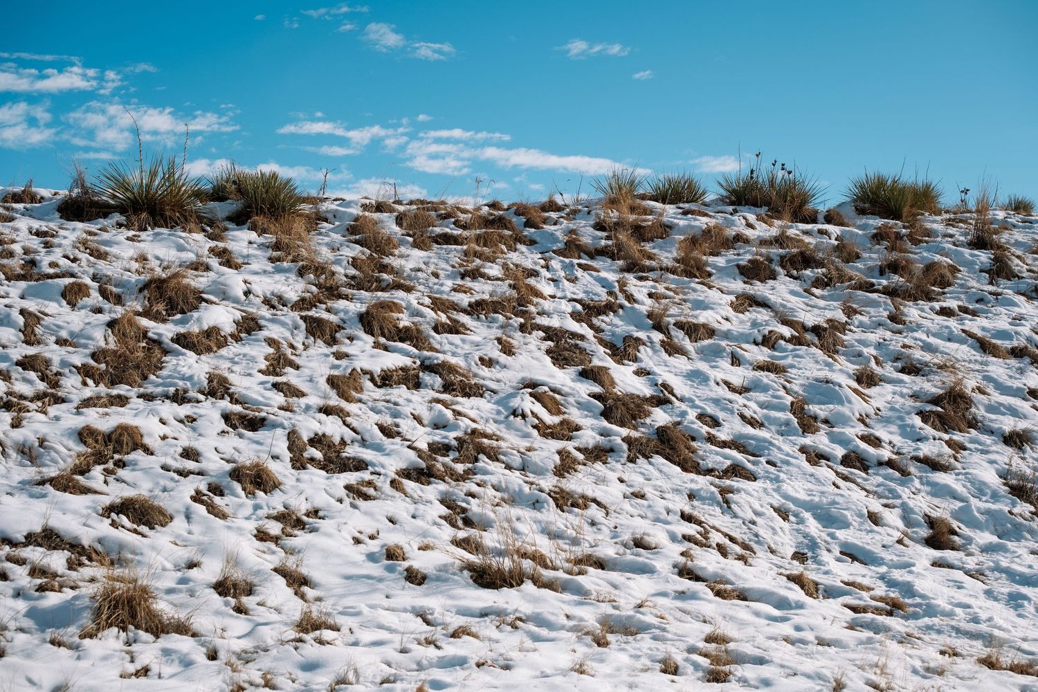 Project 365 - snowy bank.