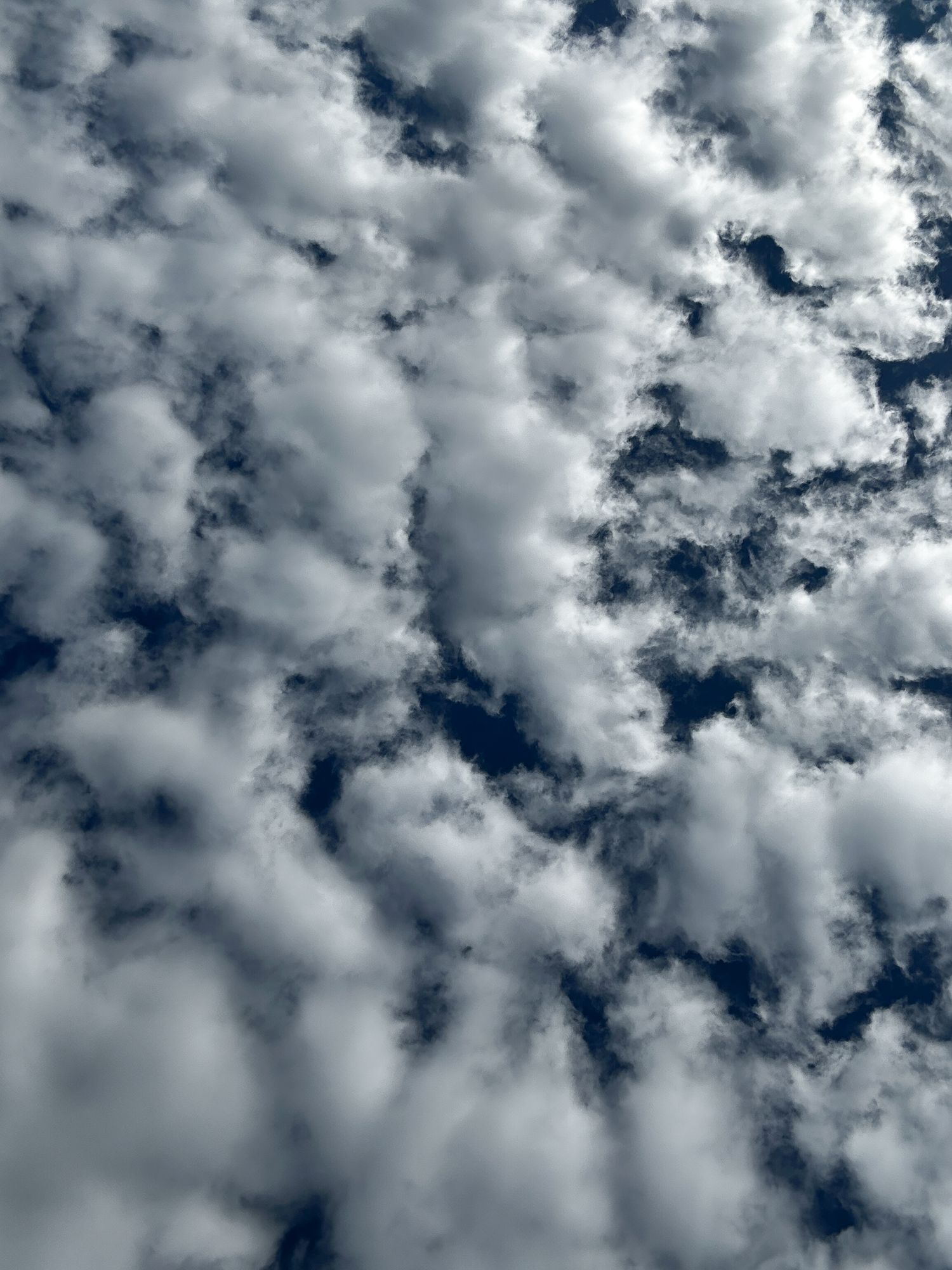 Project 365 photo - sky with fluffy white clouds.