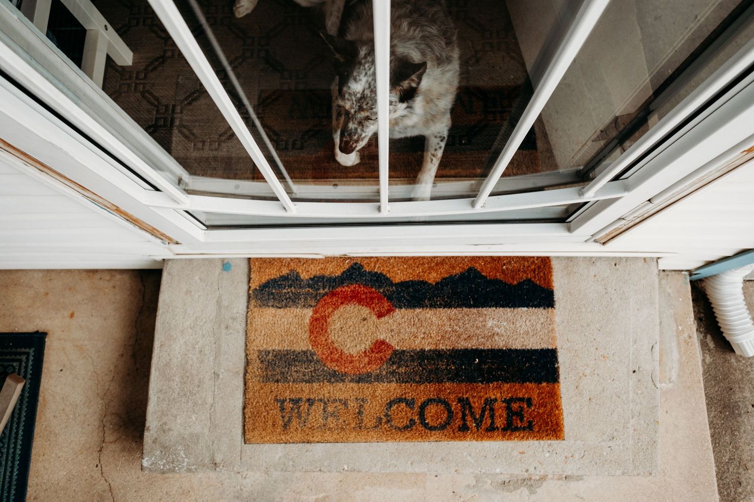 Overhead view of Colorado welcome mat and dog peaking through glass door.