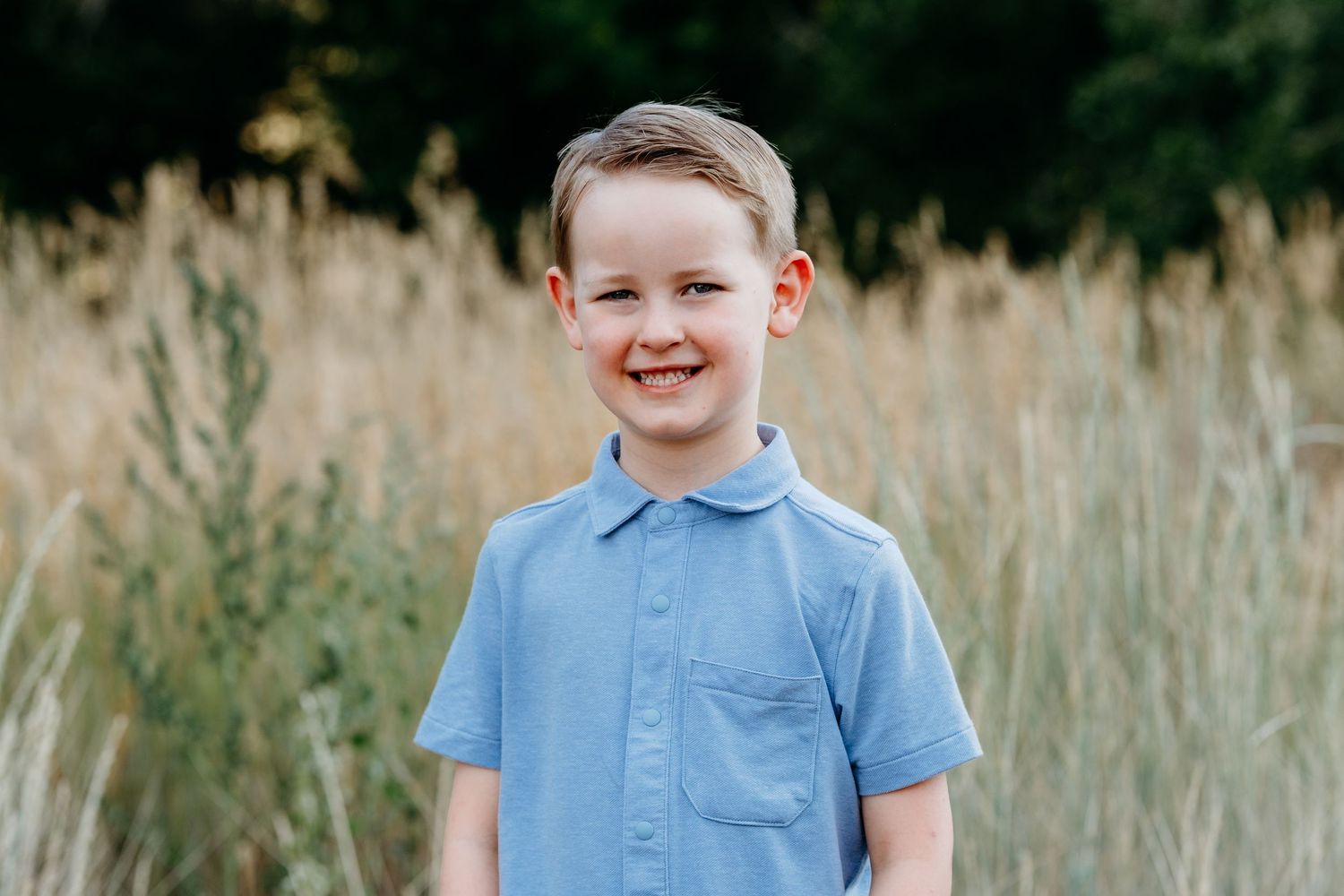 Portrait of young boy wearing blue collared shirt, tall grasses in the bafckground.