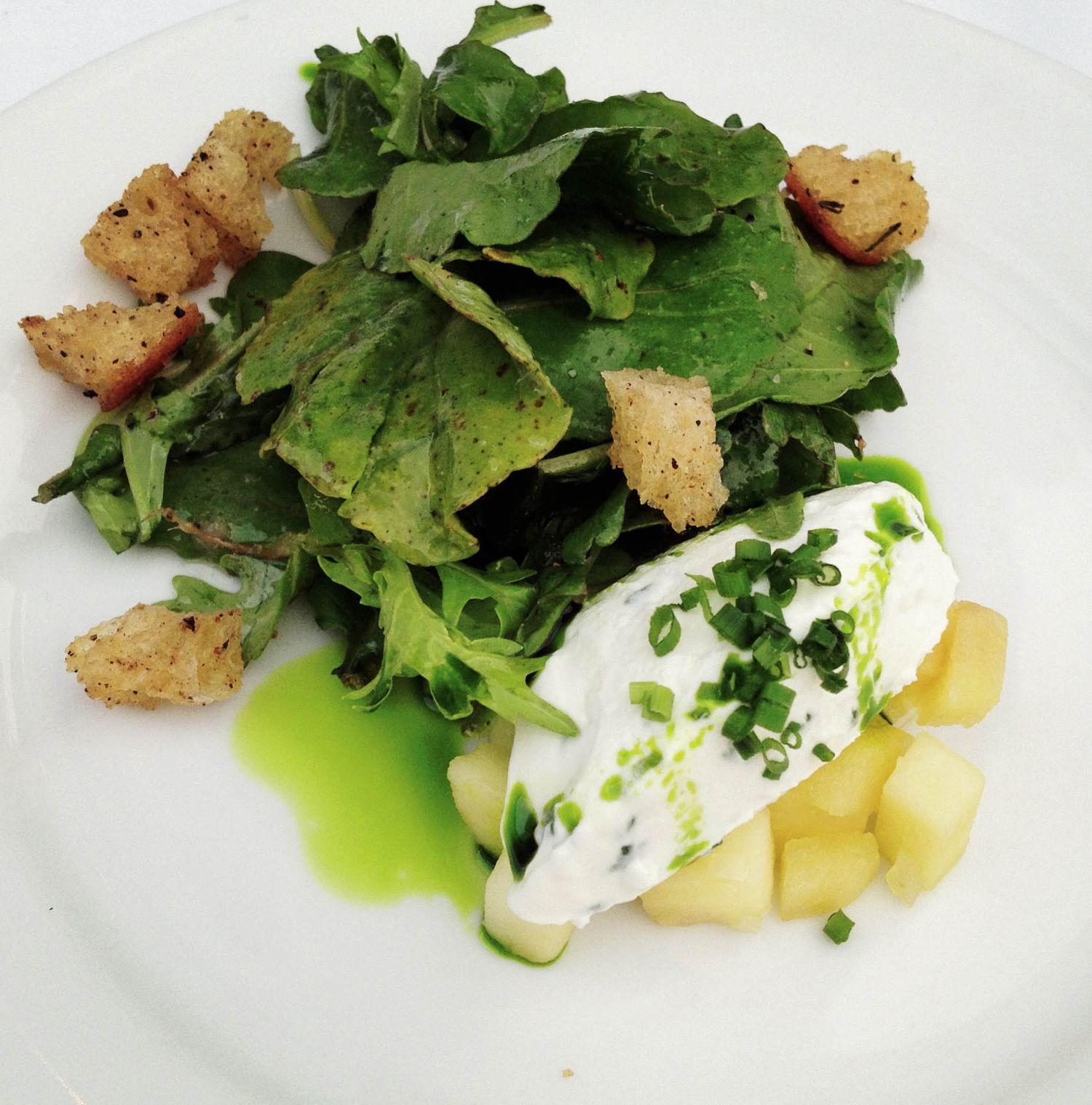 Fresh green salad with croutons, poached egg, and herb-infused olive oil dressing on a white plate.