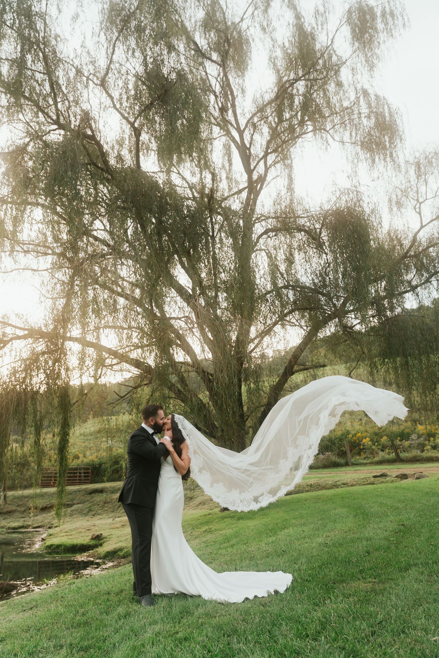 Bride and groom embracing under weeping willow at sunset, brides veil flowing dramatically in the wind.