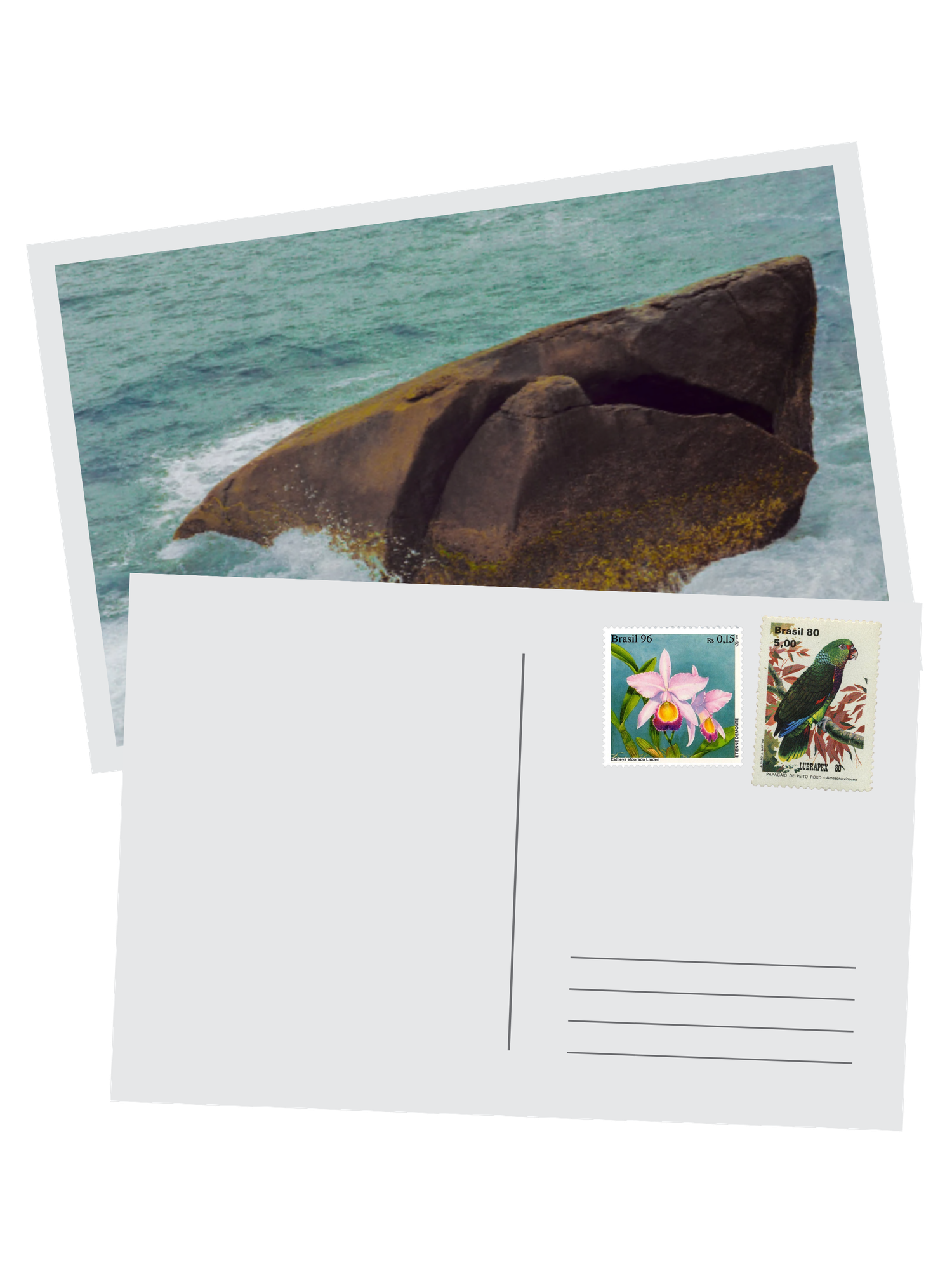 Postcard featuring a large coastal rock formation with ocean waves, and stamps depicting tropical flowers and a green parrot.