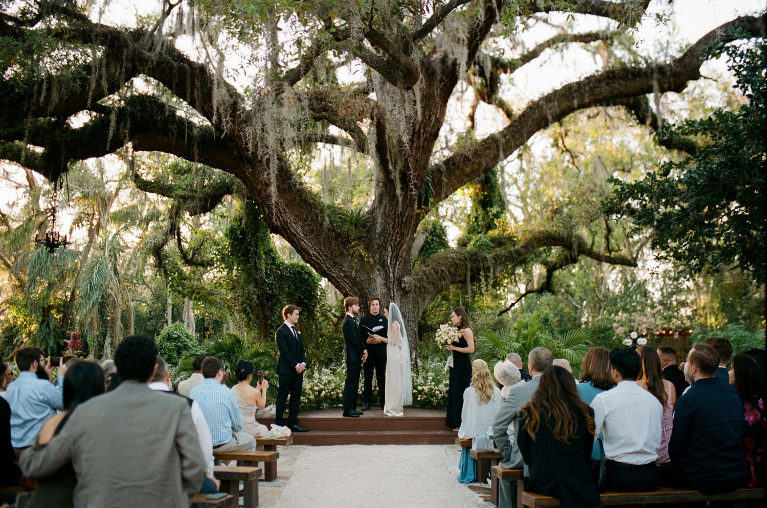 Wedding guests gathered under sprawling oak trees for an outdoor celebration.