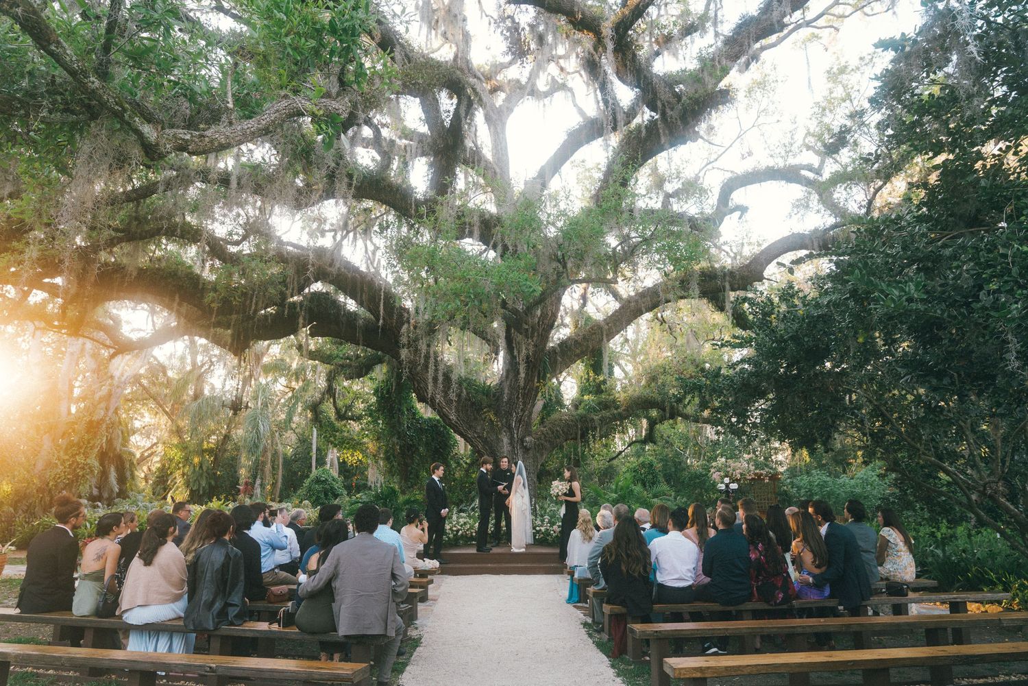 Panoramic view of a wedding ceremony under majestic oak trees with Spanish moss.