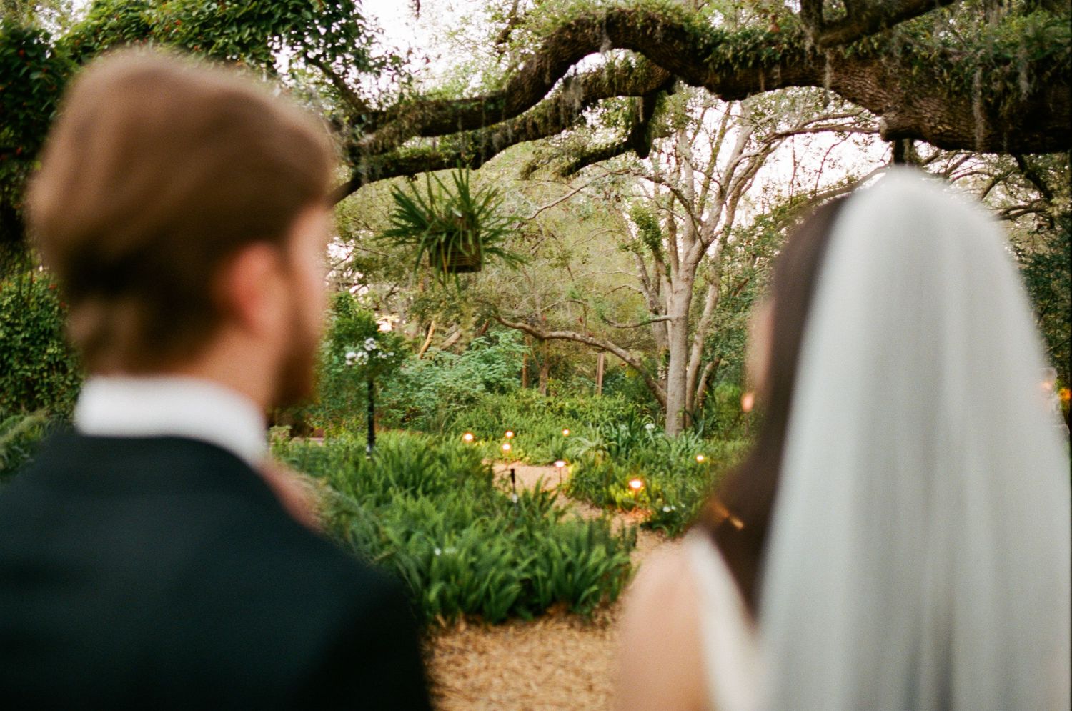 A couple stands together on a garden path surrounded by lush greenery.