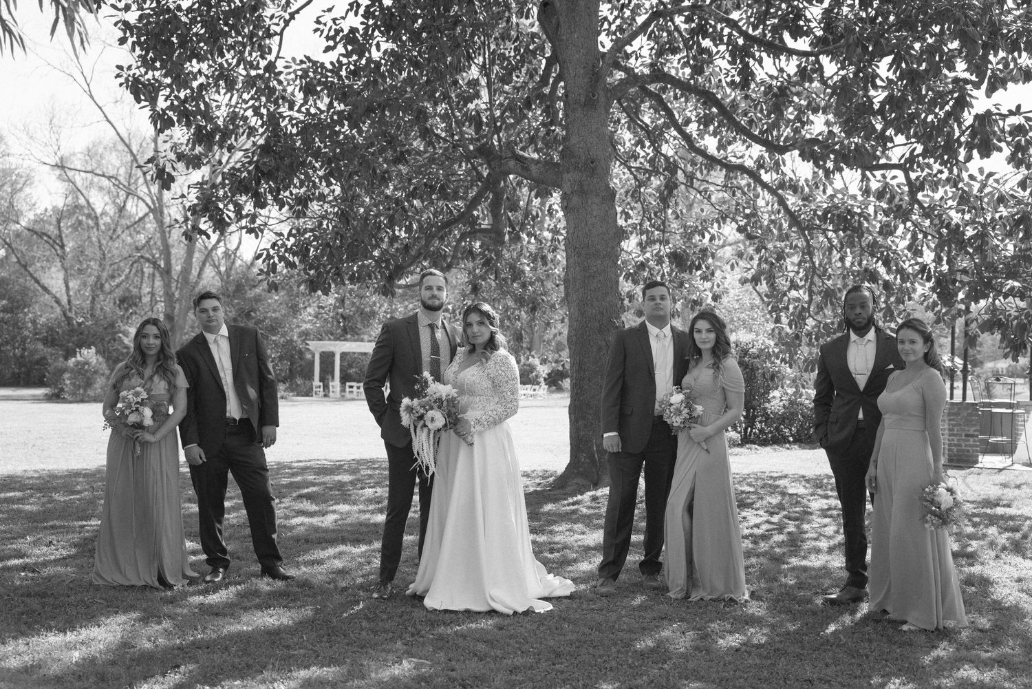 Wedding party gathered under a tree for formal outdoor group photo.