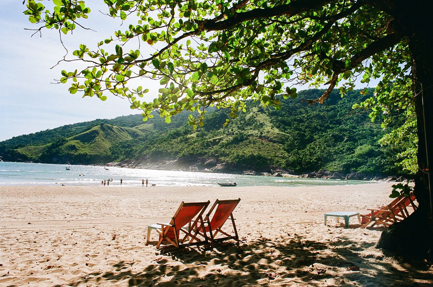 Two red and white striped beach chairs rest in the shade on a scenic tropical beach.