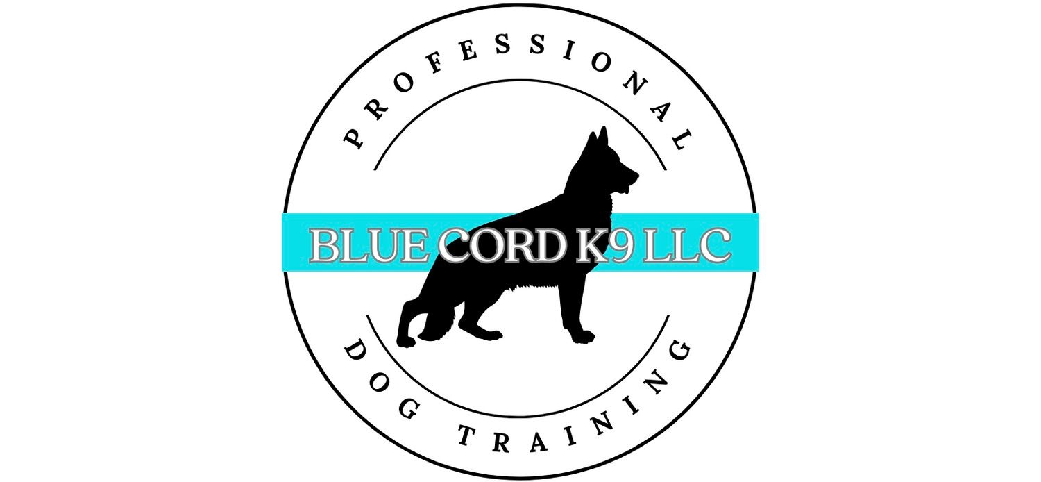 Blue Cord K9