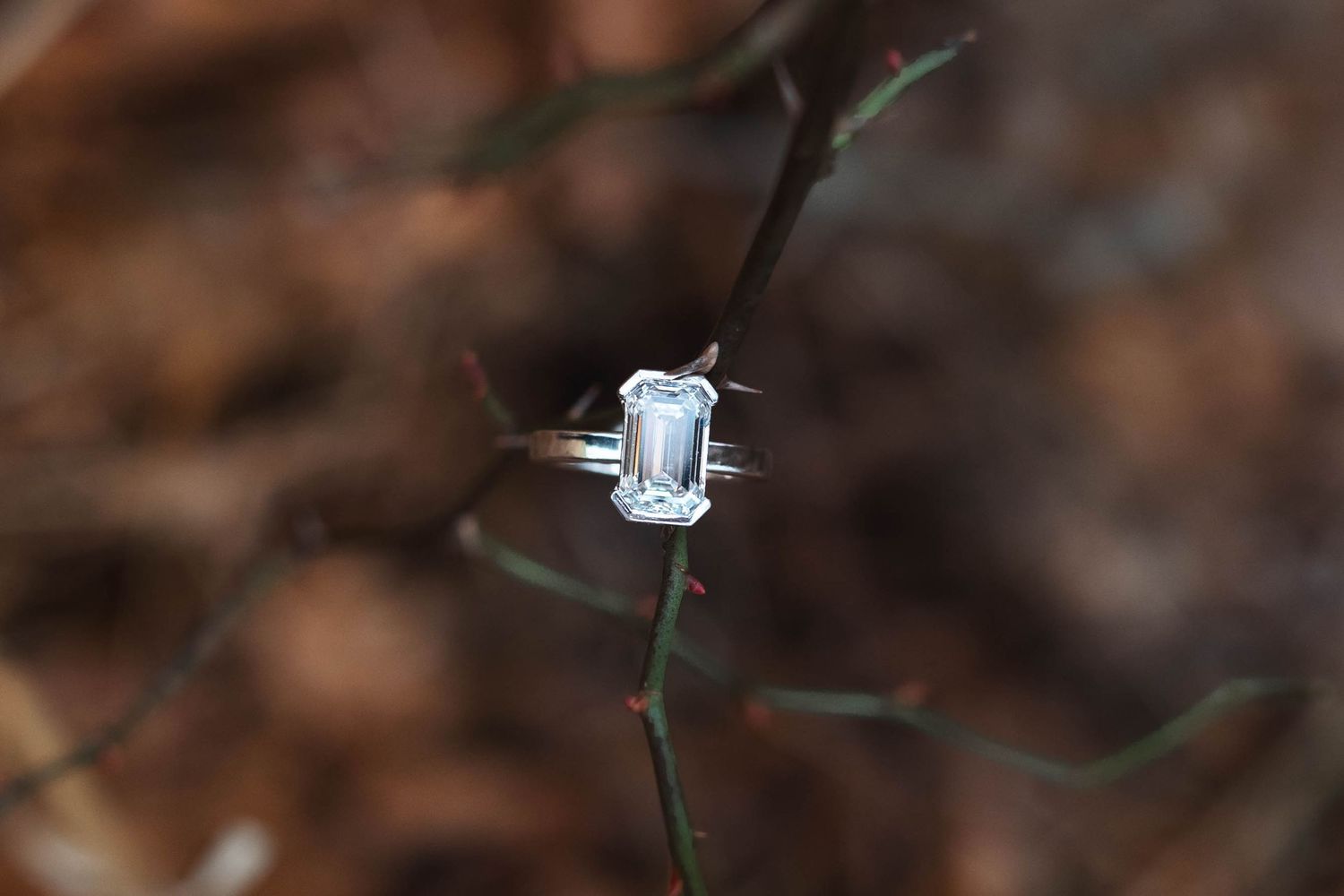Emerald cut solitaire diamond engagement ring displayed on a thorny branch in nature in West Chester, PA.
