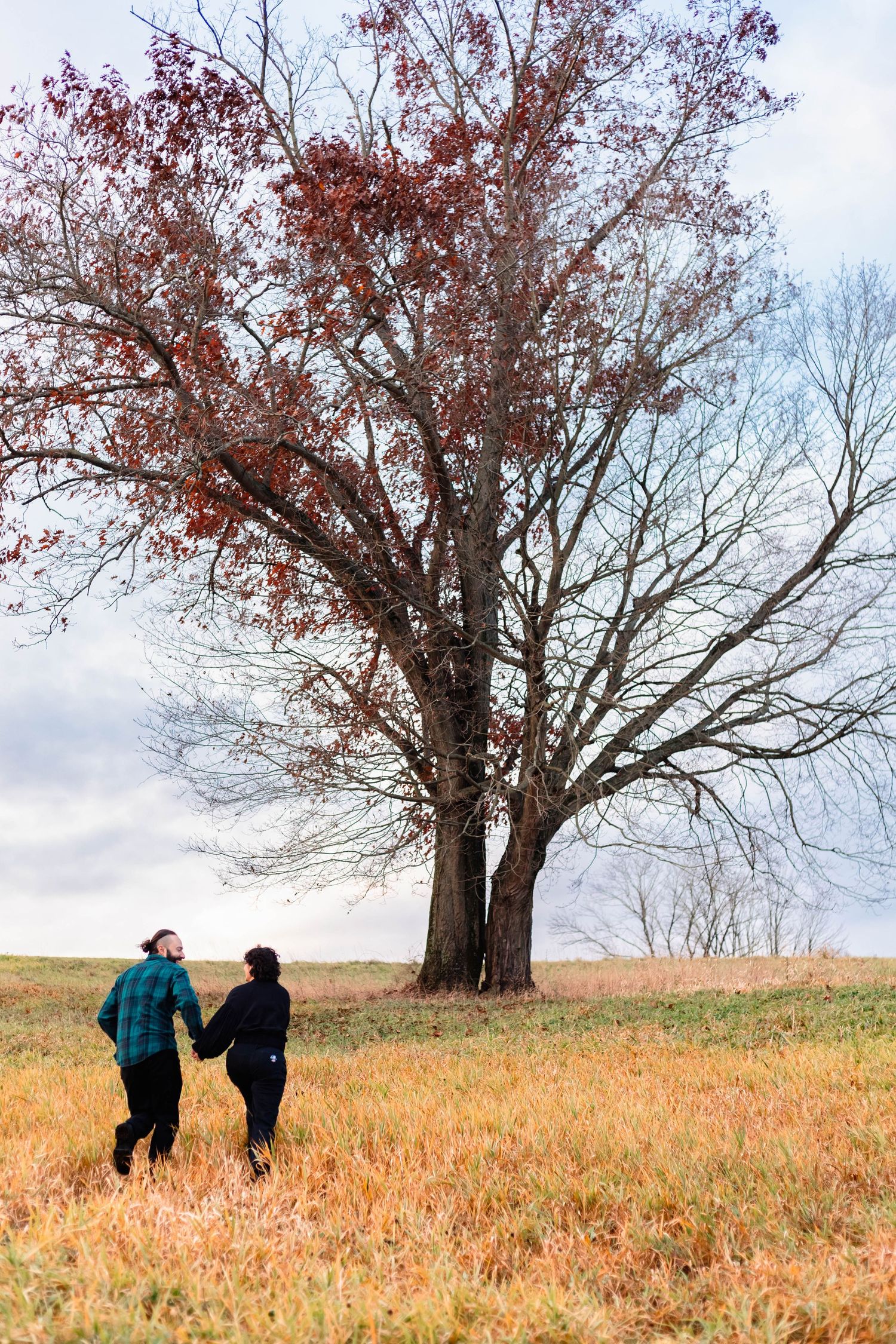 Engaged couple walking hand in hand toward a large autumn tree in an open field in West Chester, PA.