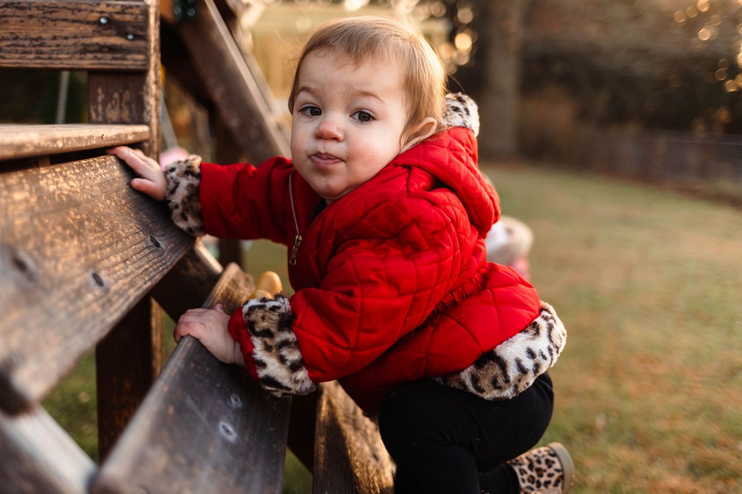 Curious baby in red puffer jacket climbs wooden fence outdoors in warm evening light in Boyertown, PA.