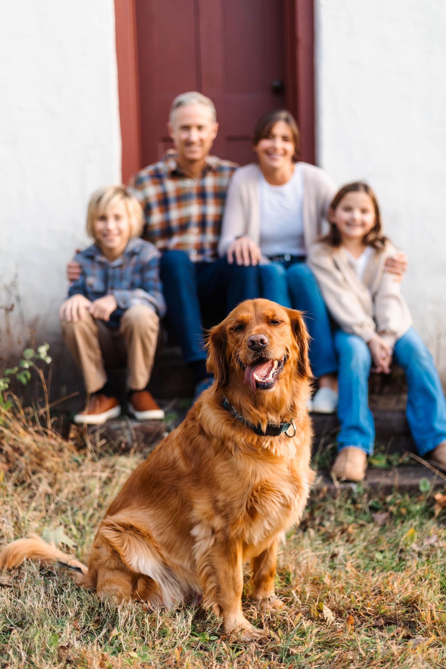 A golden retriever sits in the foreground as a family of four smiles on porch steps behind in Harleysville, PA.