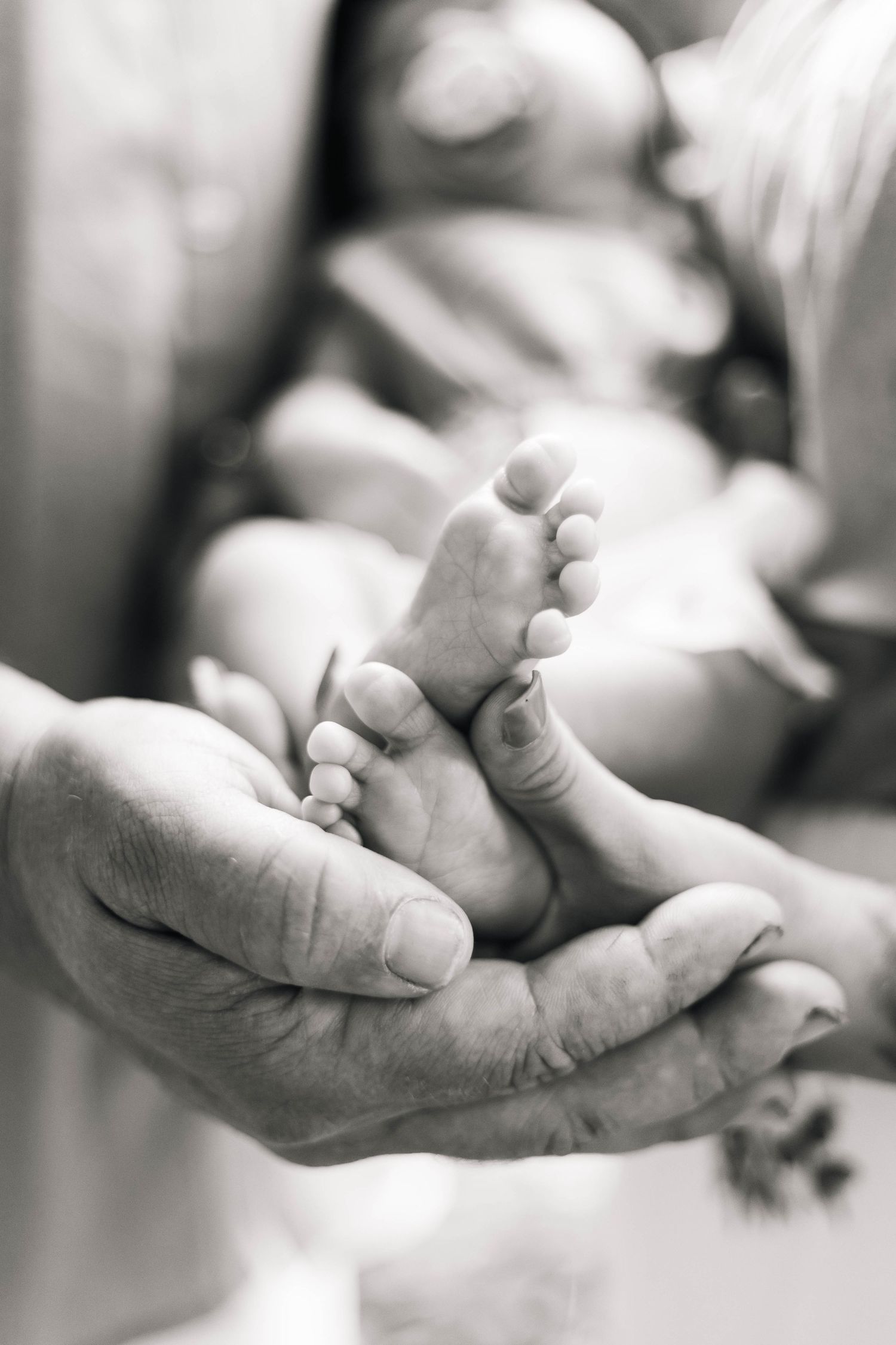 Black and white photo of large adult hands cradling tiny newborn baby feet with blurred background during a newborn session in Boyertown, PA