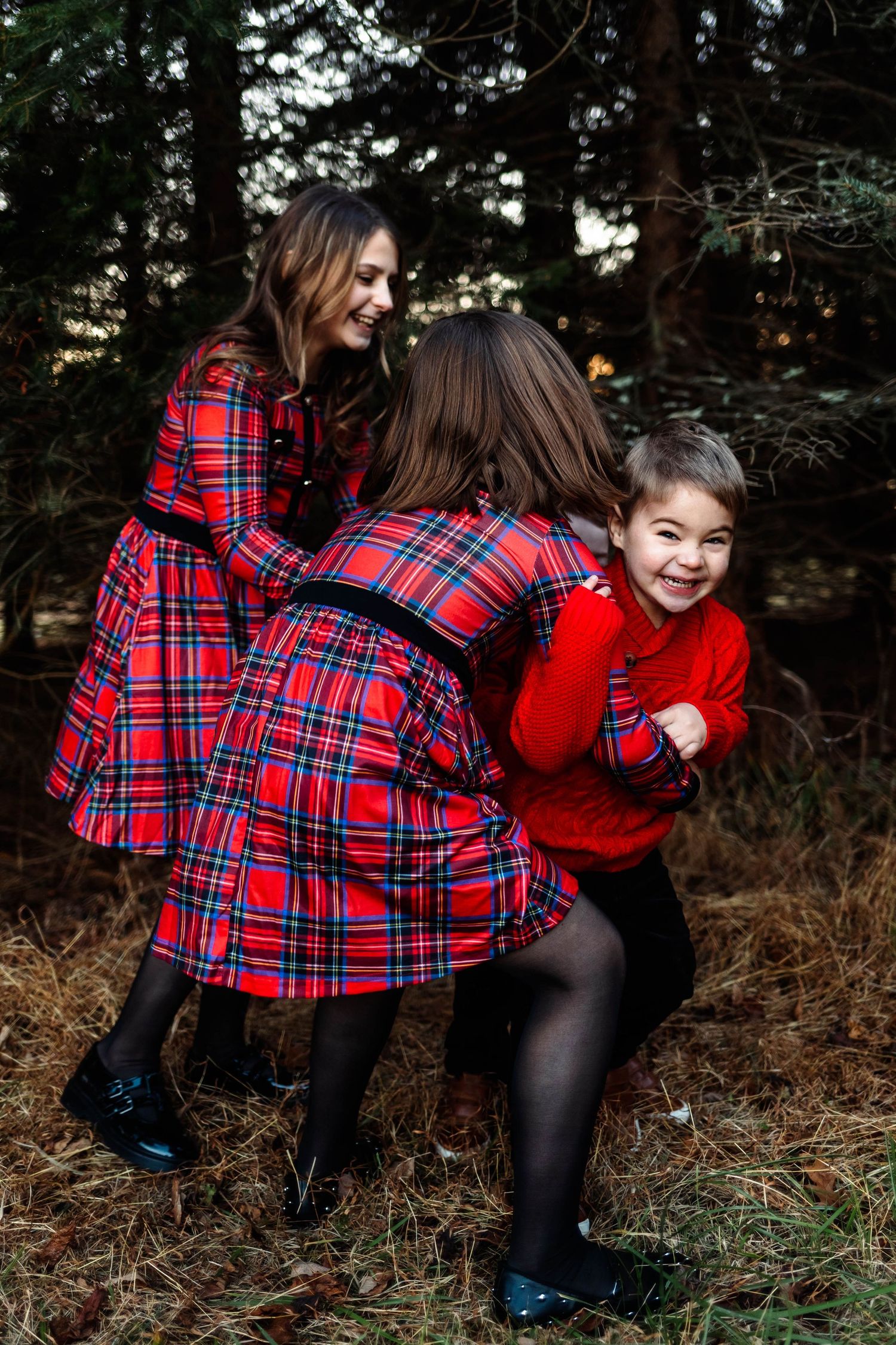 Two girls in red plaid dresses playfully interact with a laughing boy in a red sweater among pine trees in Pottstown, PA.