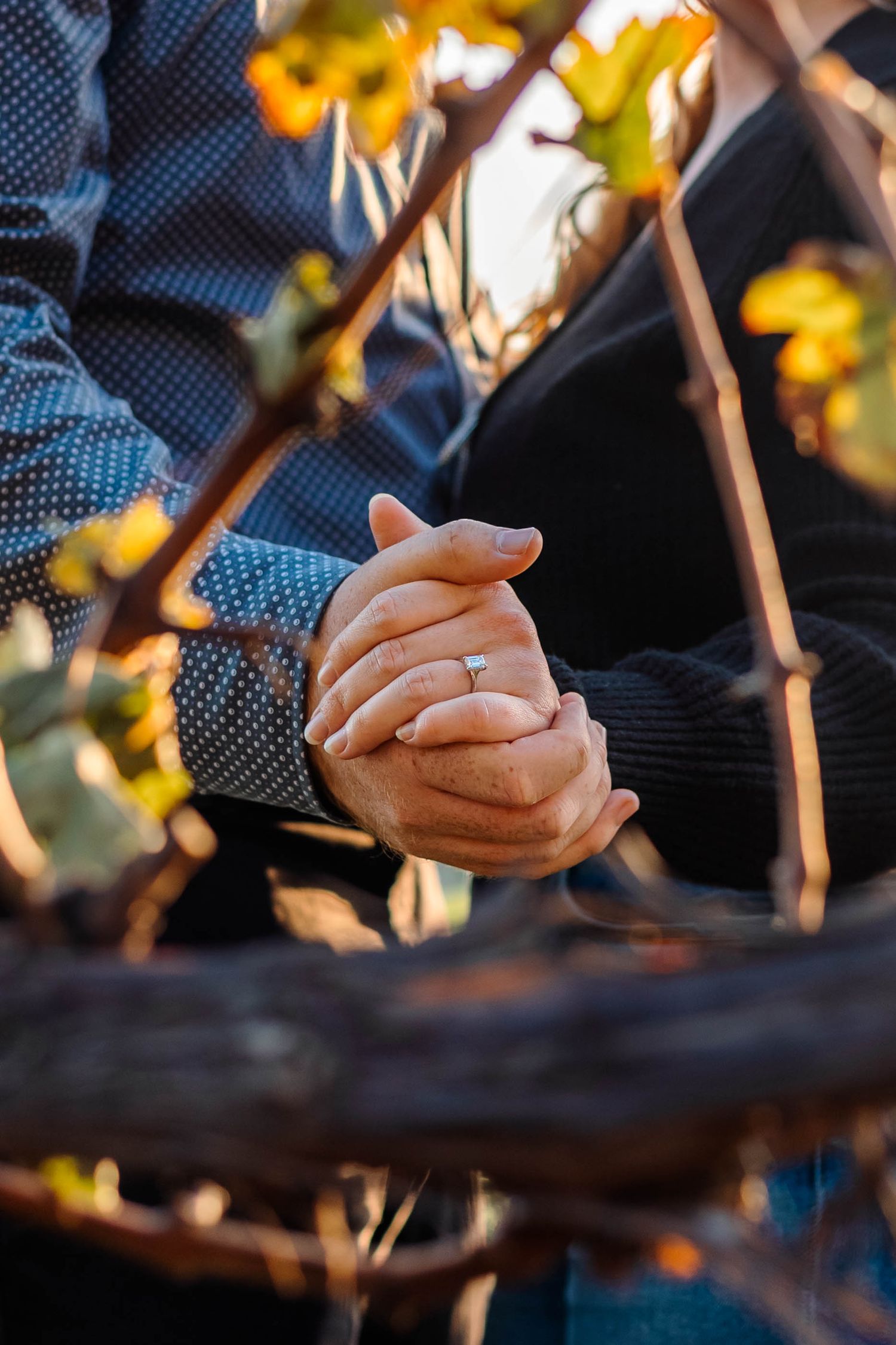 Close-up of engaged couple holding hands showing diamond engagement ring among autumn vineyard vines in Lancaster, PA.