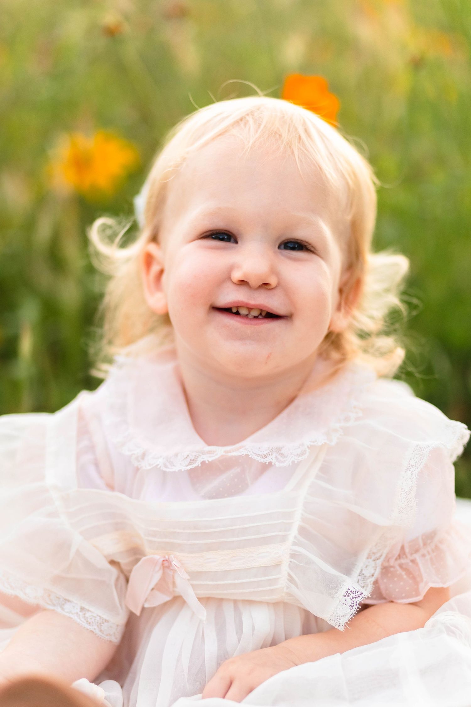 Smiling blonde toddler girl in a pink lace dress sitting in a wildflower meadow in Pekriomenville, PA.
