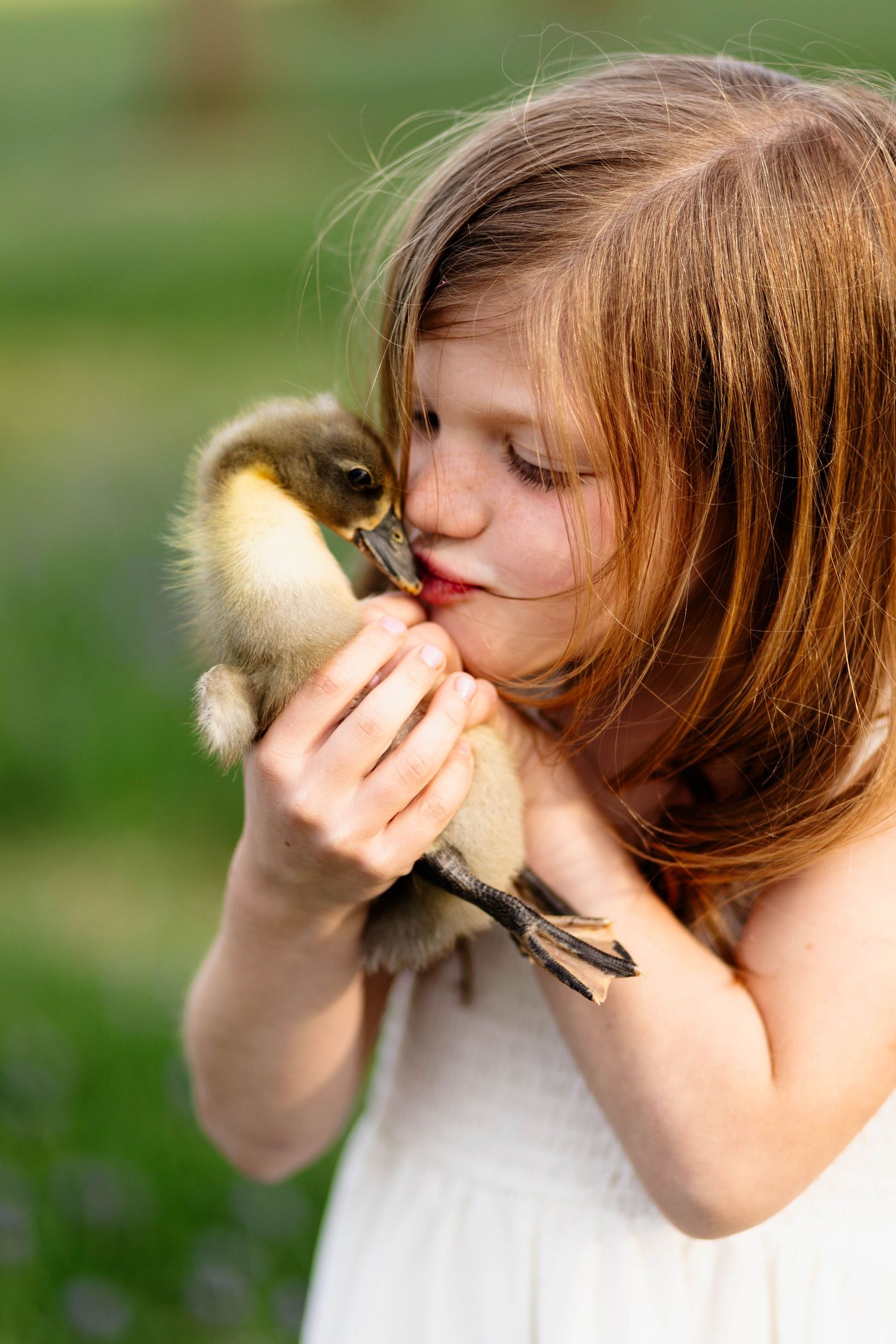 Sweet young girl with brown hair kissing a fluffy baby duckling she holds in her hands.