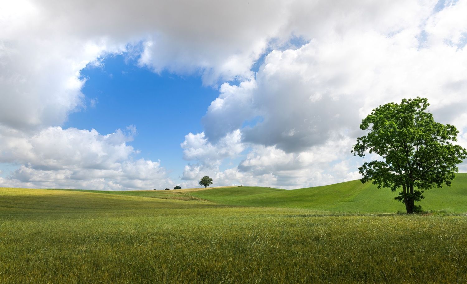 Photo of a rolling green field with white fluffly clouds and one opening in the clouds to reveal a blue square like a window to heaven.